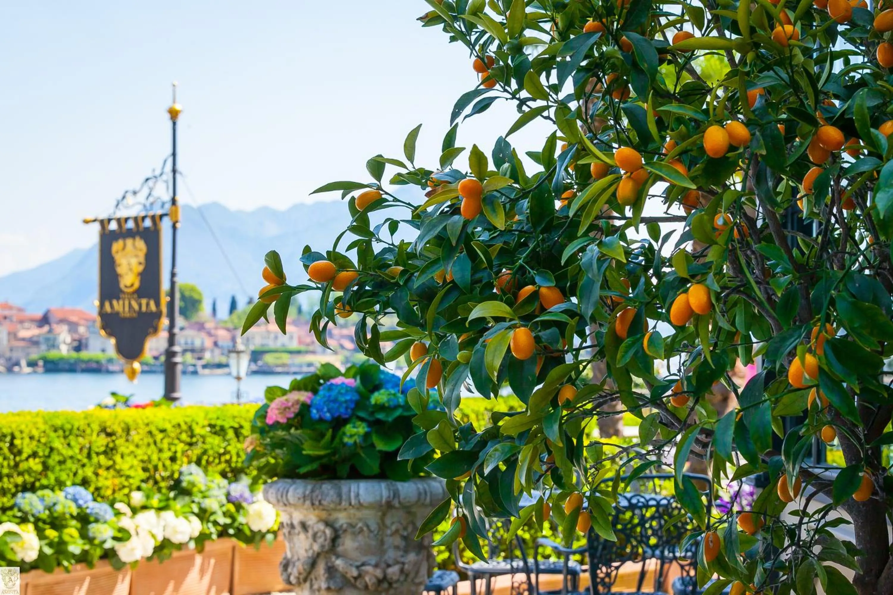 Garden in Villa e Palazzo Aminta - A Leading Hotel of The World