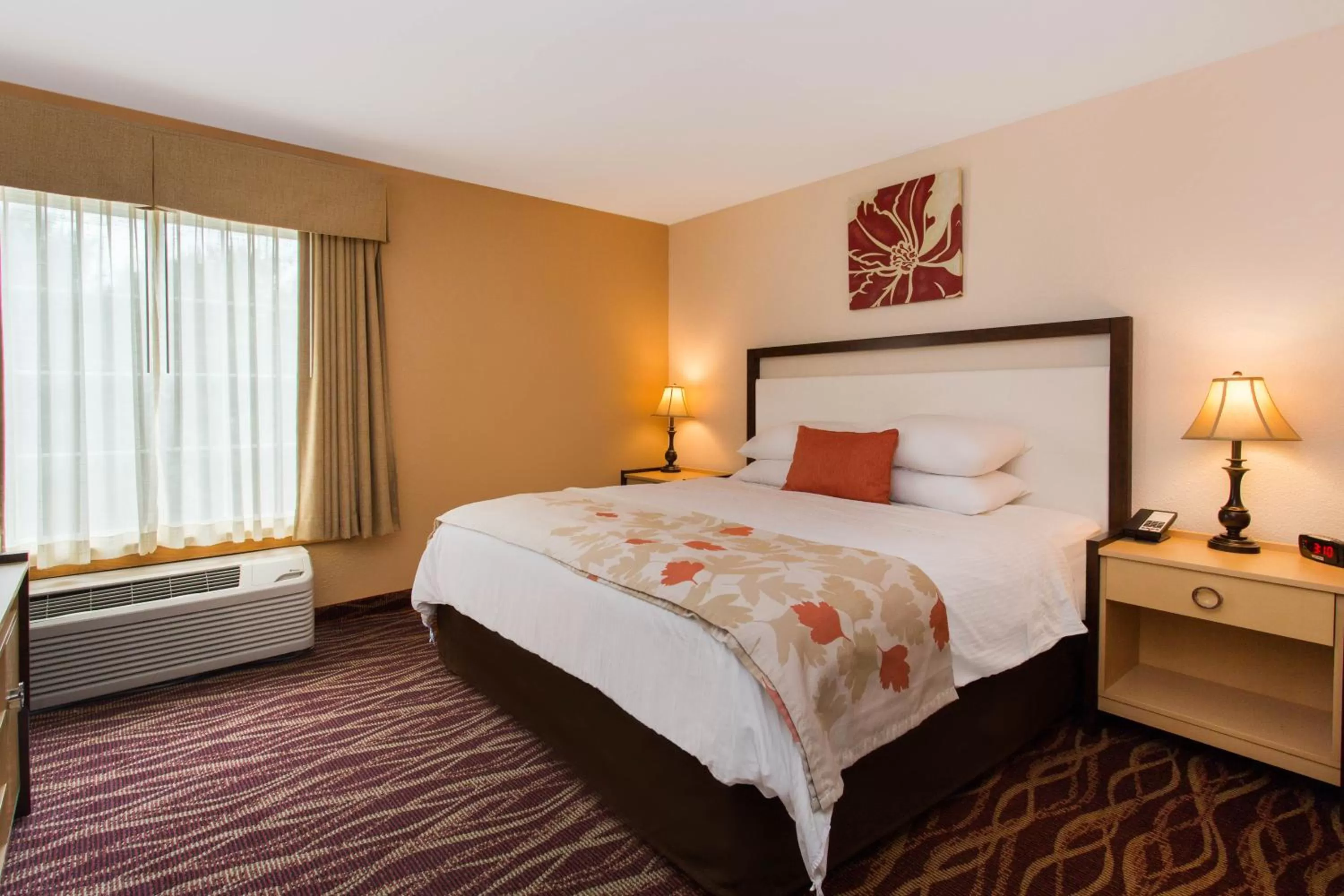 Photo of the whole room, Bed in Hawthorn Suites by Wyndham Allentown-Fogelsville
