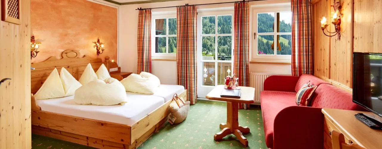 Double Room in Berghotel Hauserbauer