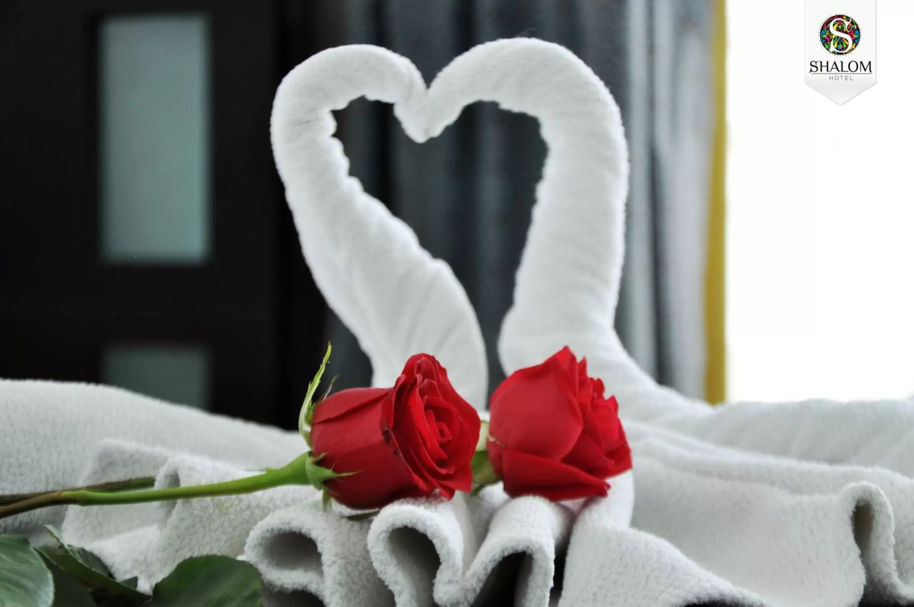 Deluxe Quadruple Room - single occupancy in Hotel Shalom Deluxe Quadruple Room - single occupancy in Hotel Shalom