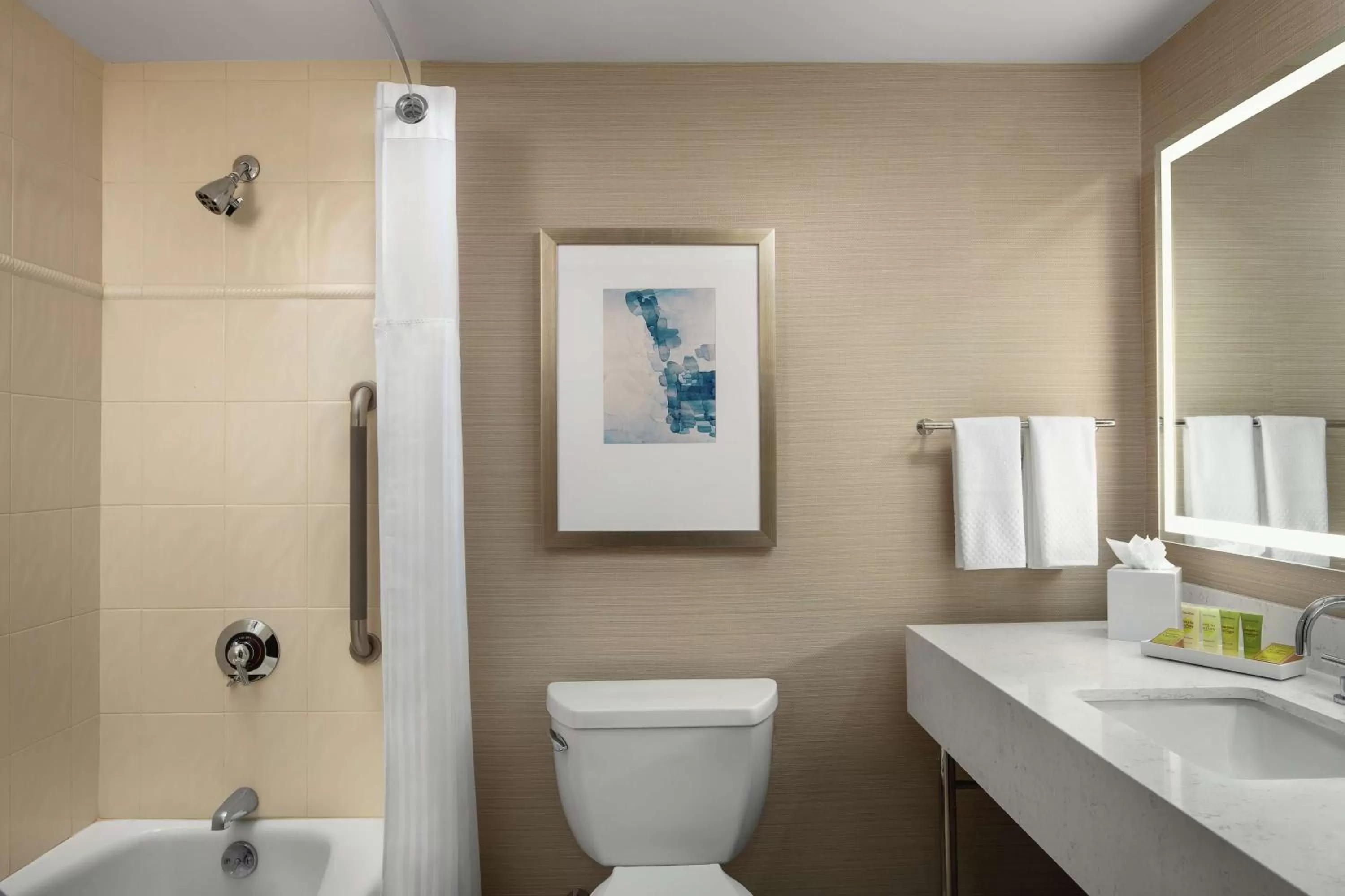 Bathroom in Hilton Boston Logan Airport