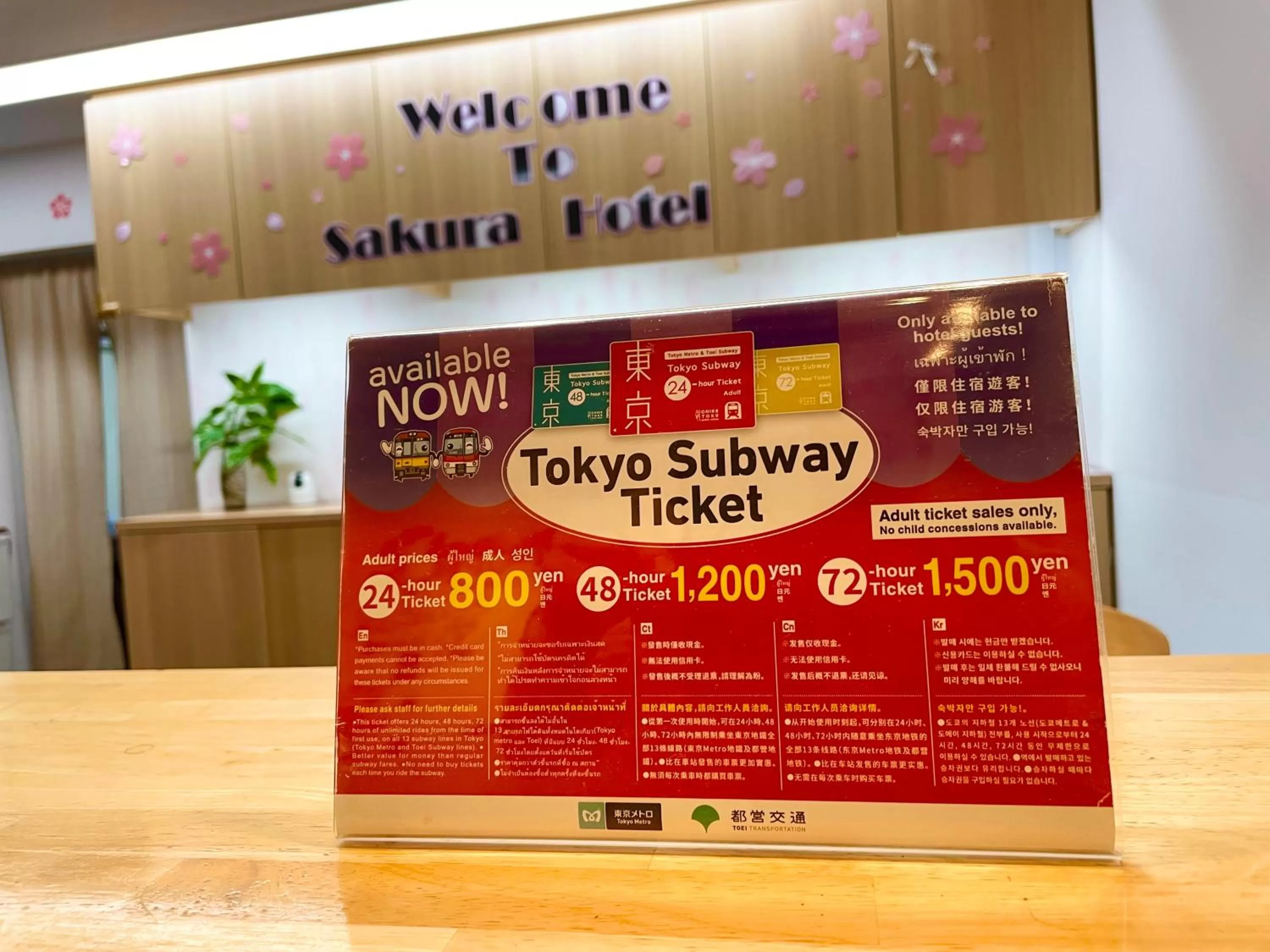 Lobby or reception in Sakura Hotel Nippori