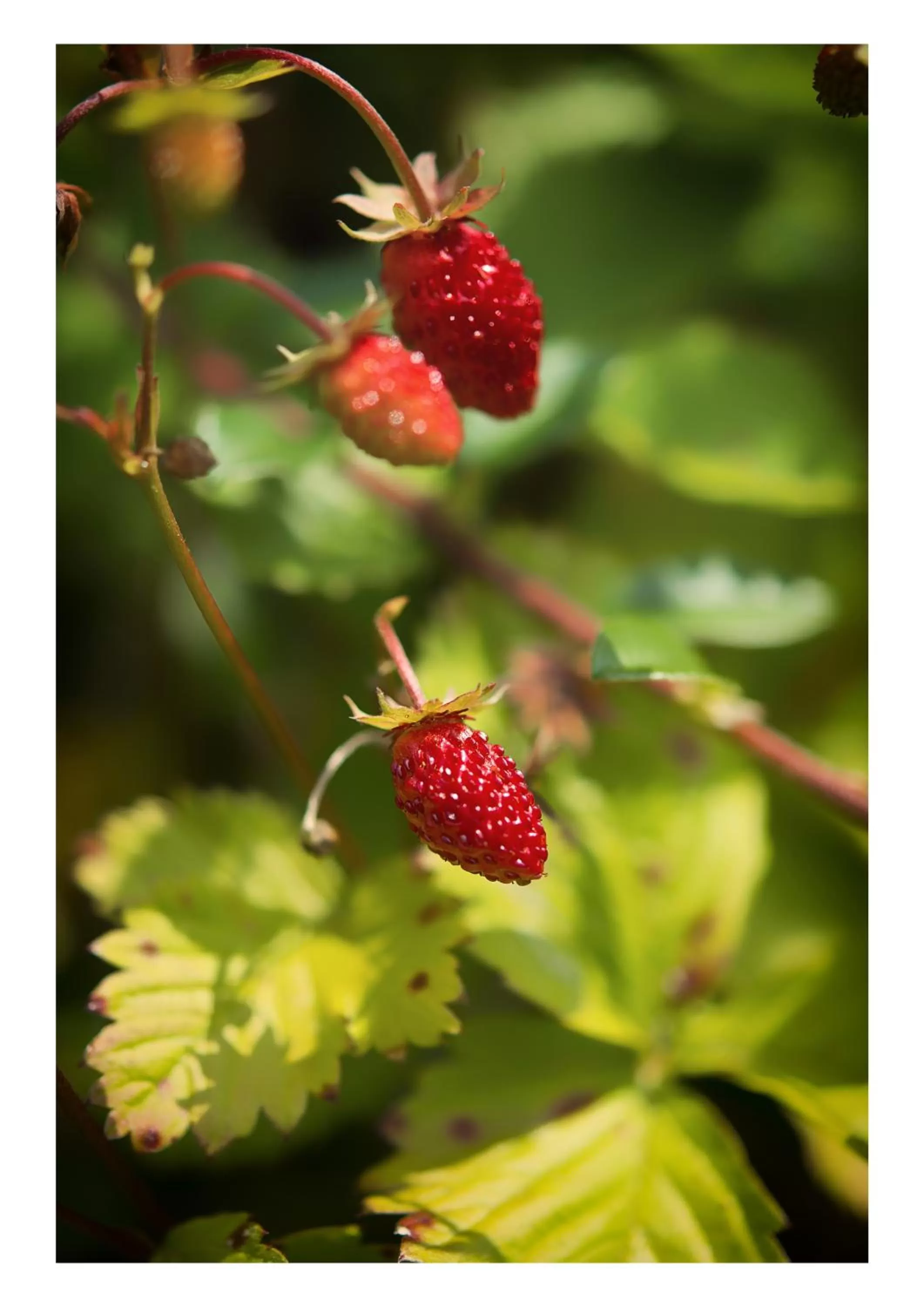 Facade/entrance in Öko-Landhotel Basler Hof