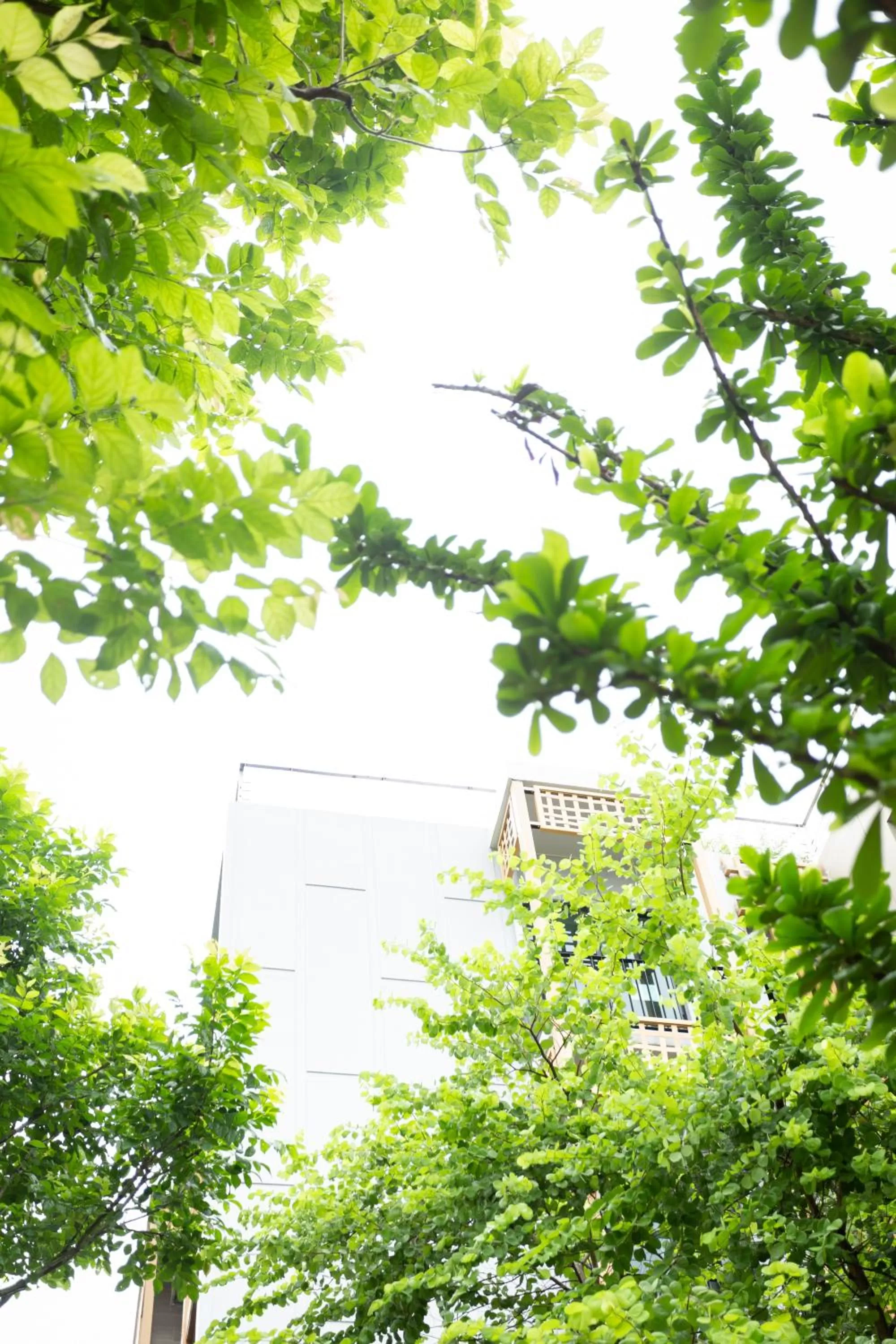 Garden in SHAN Villas Sukhumvit ฌานวิลล่า สุขุมวิท