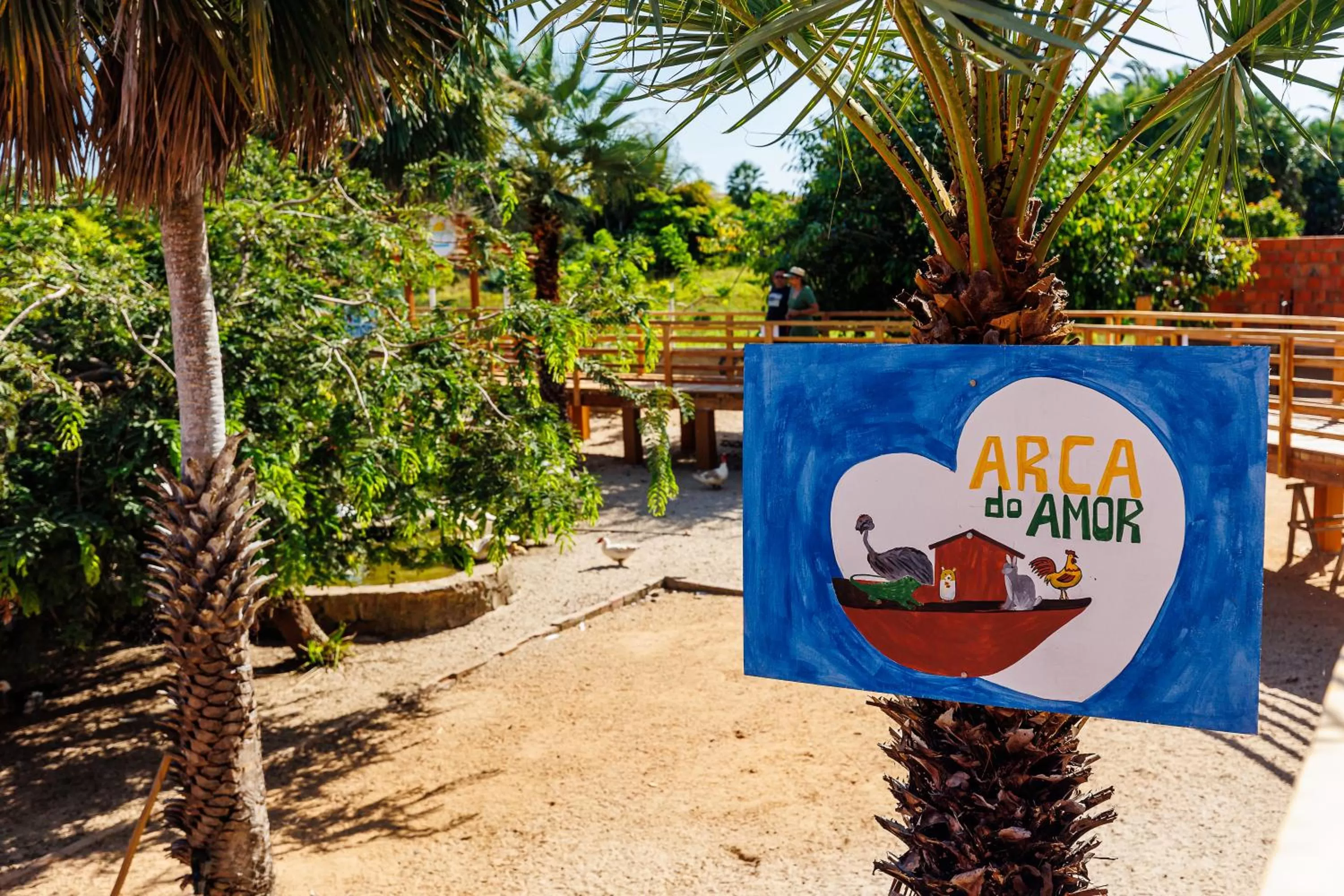 Natural landscape in Carnaubinha Praia Resort