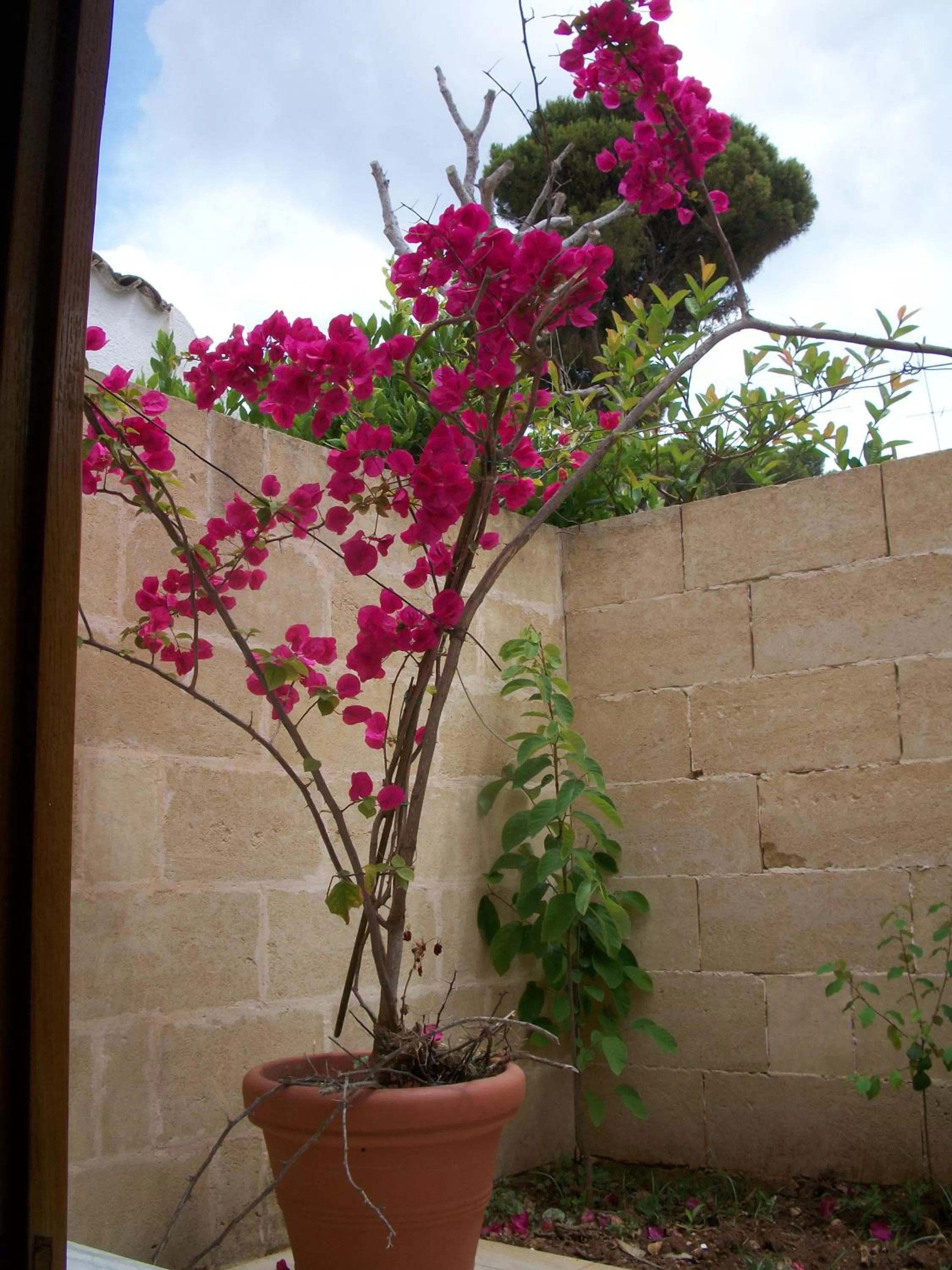 Balcony/Terrace in La Corte di Leuca Residence