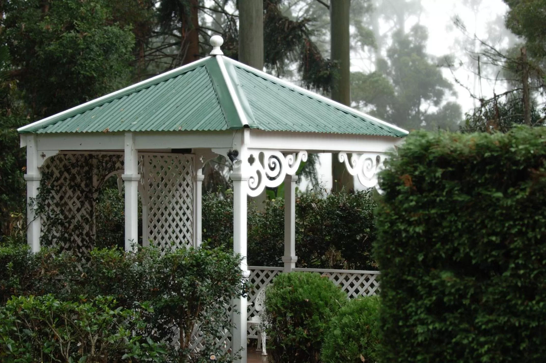 Garden in The Castle on Tamborine
