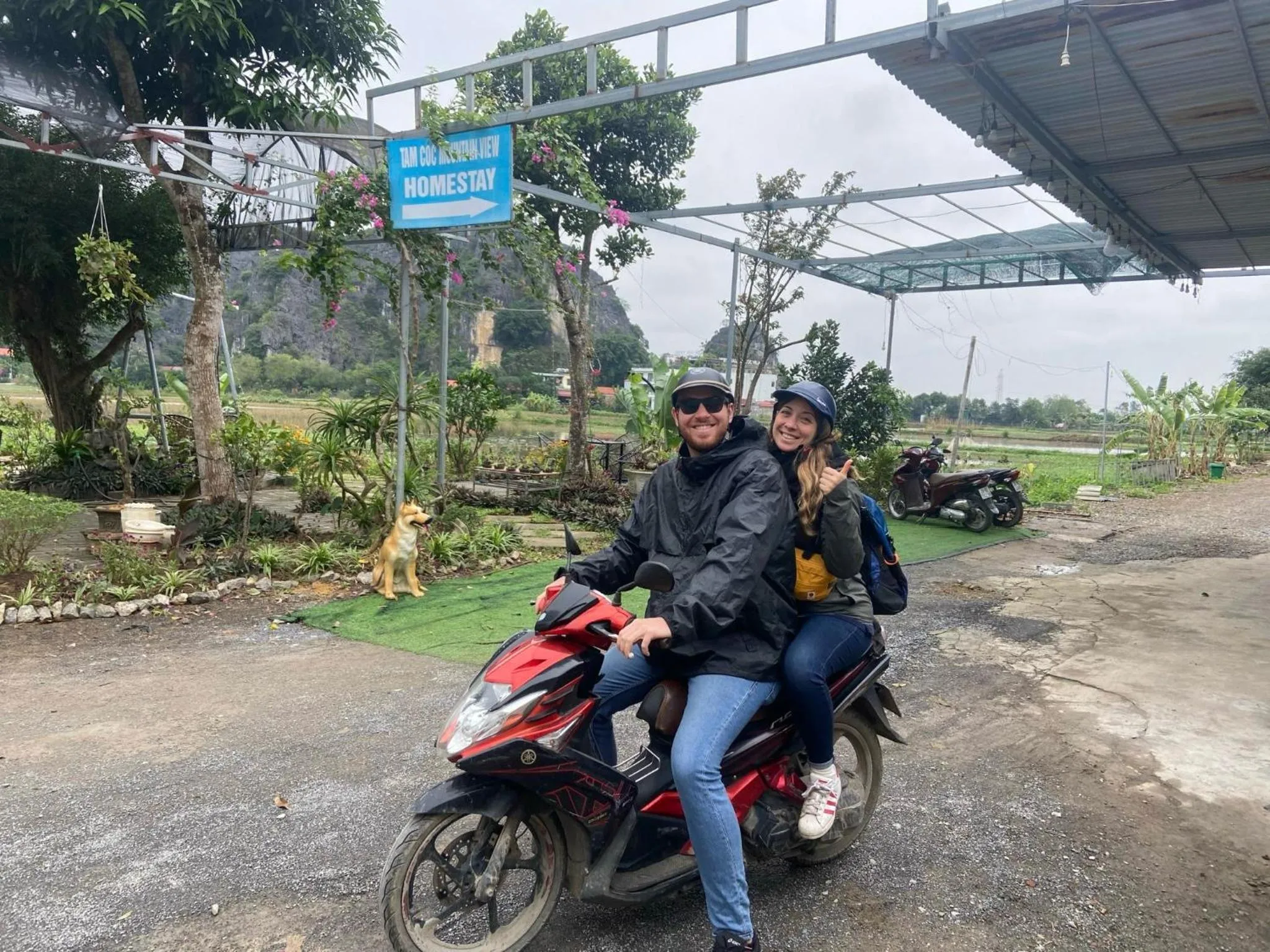 Tam Coc Mountain View Homestay