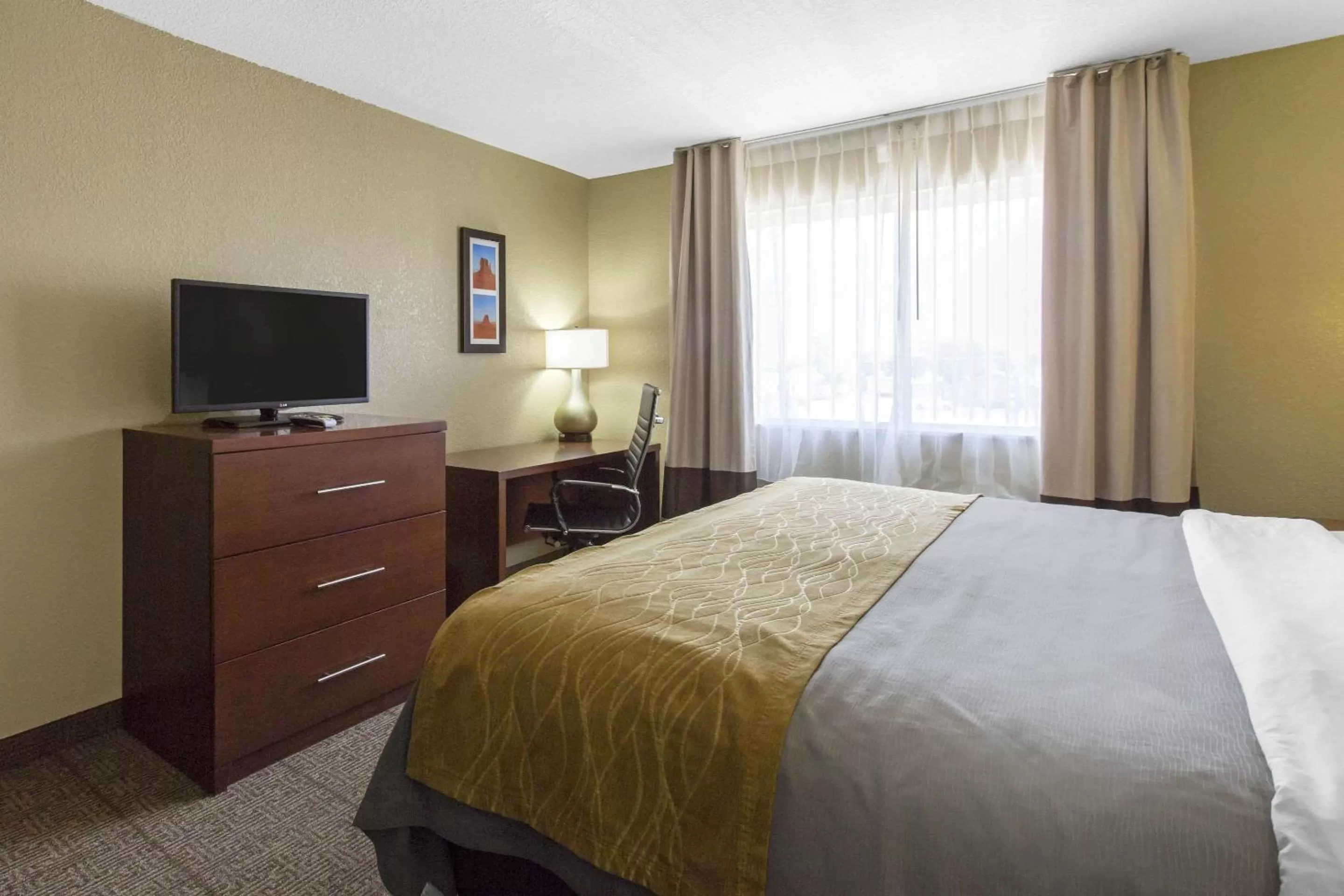 Photo of the whole room, Bed in Comfort Inn & Suites Deming