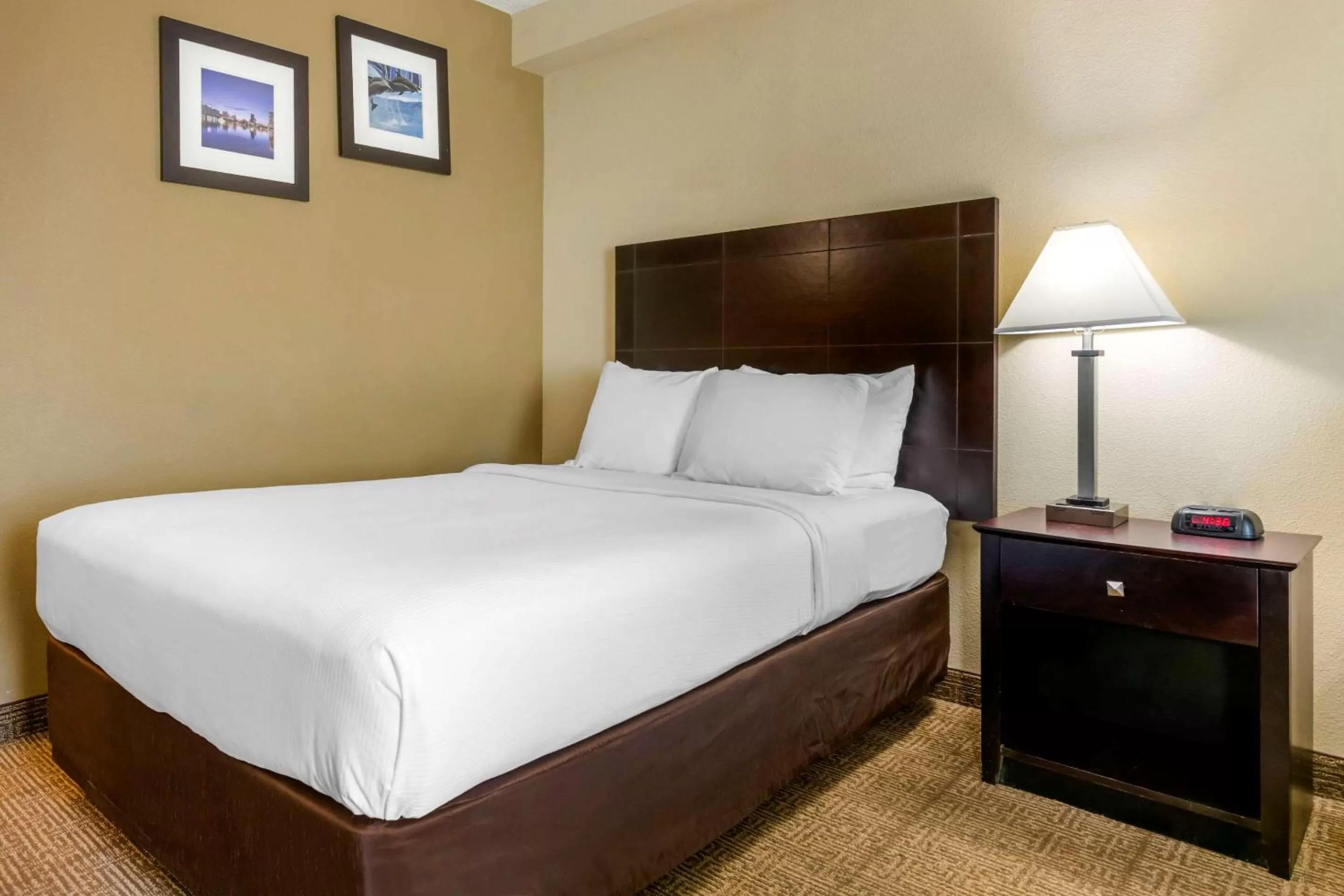 Photo of the whole room, Bed in I-Drive Hotel at Universal