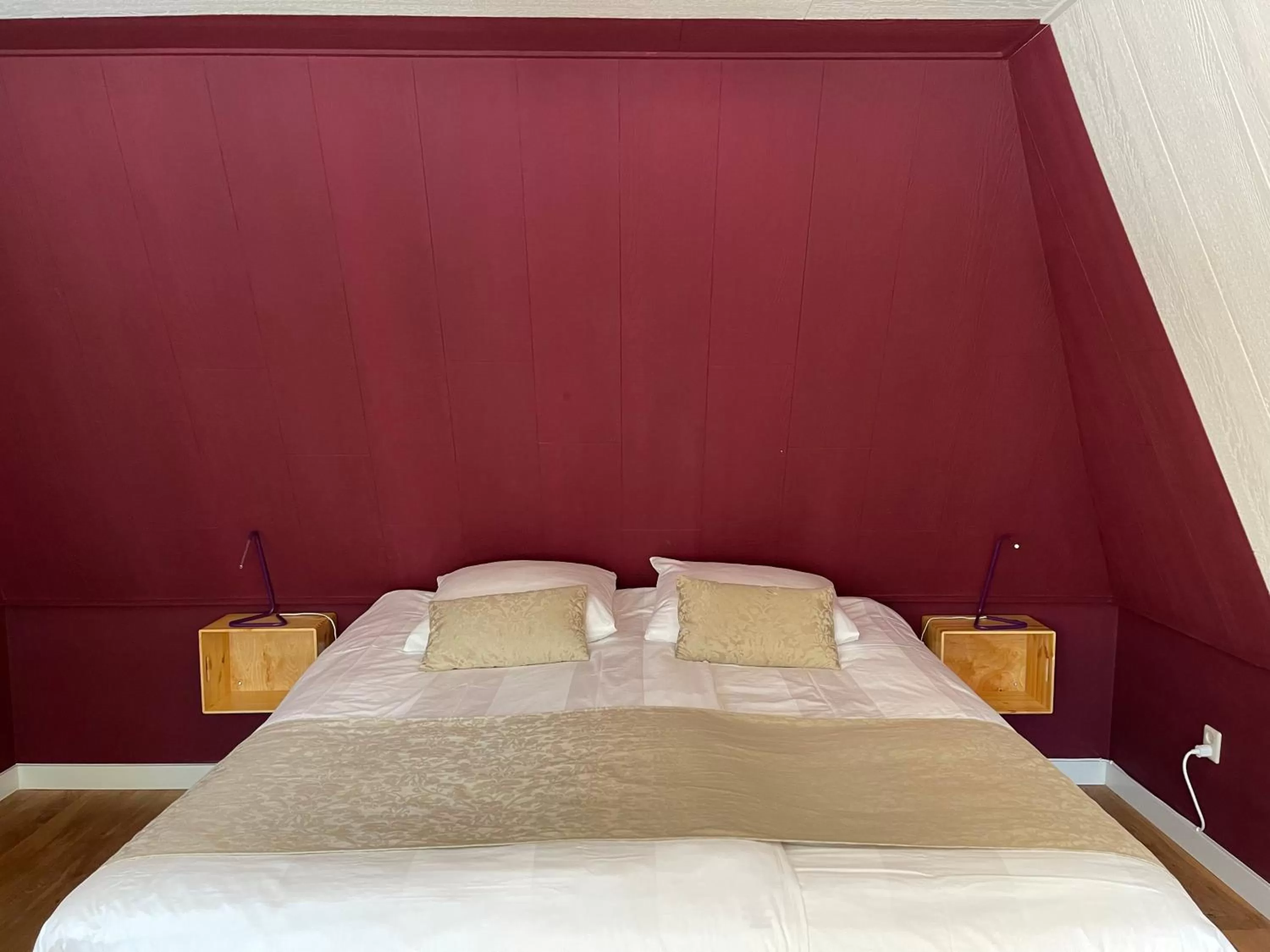 Villa BlauwHemel Diever