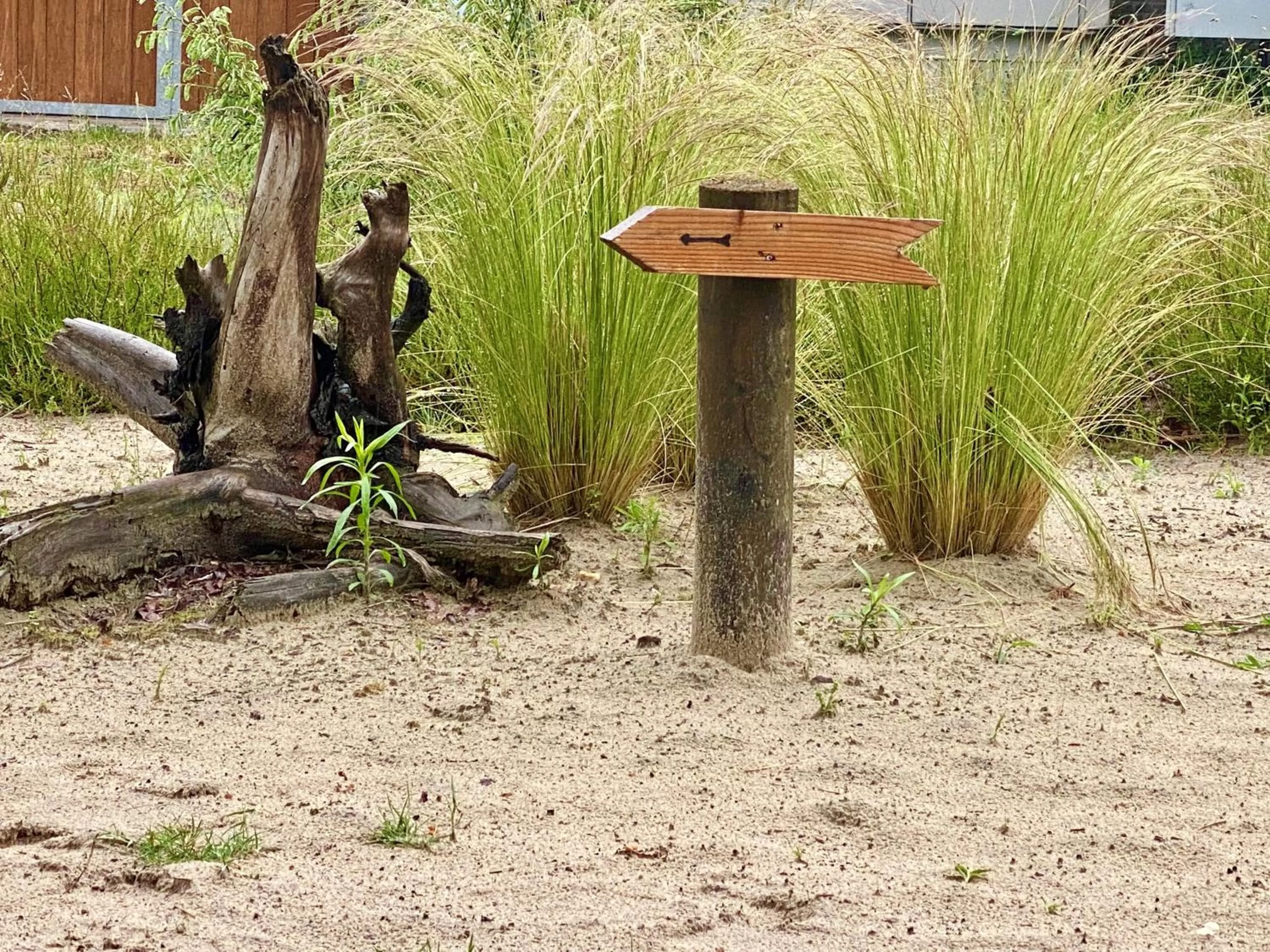 Area and facilities in De Guldenberg 's-Hertogenbosch Helvoirt