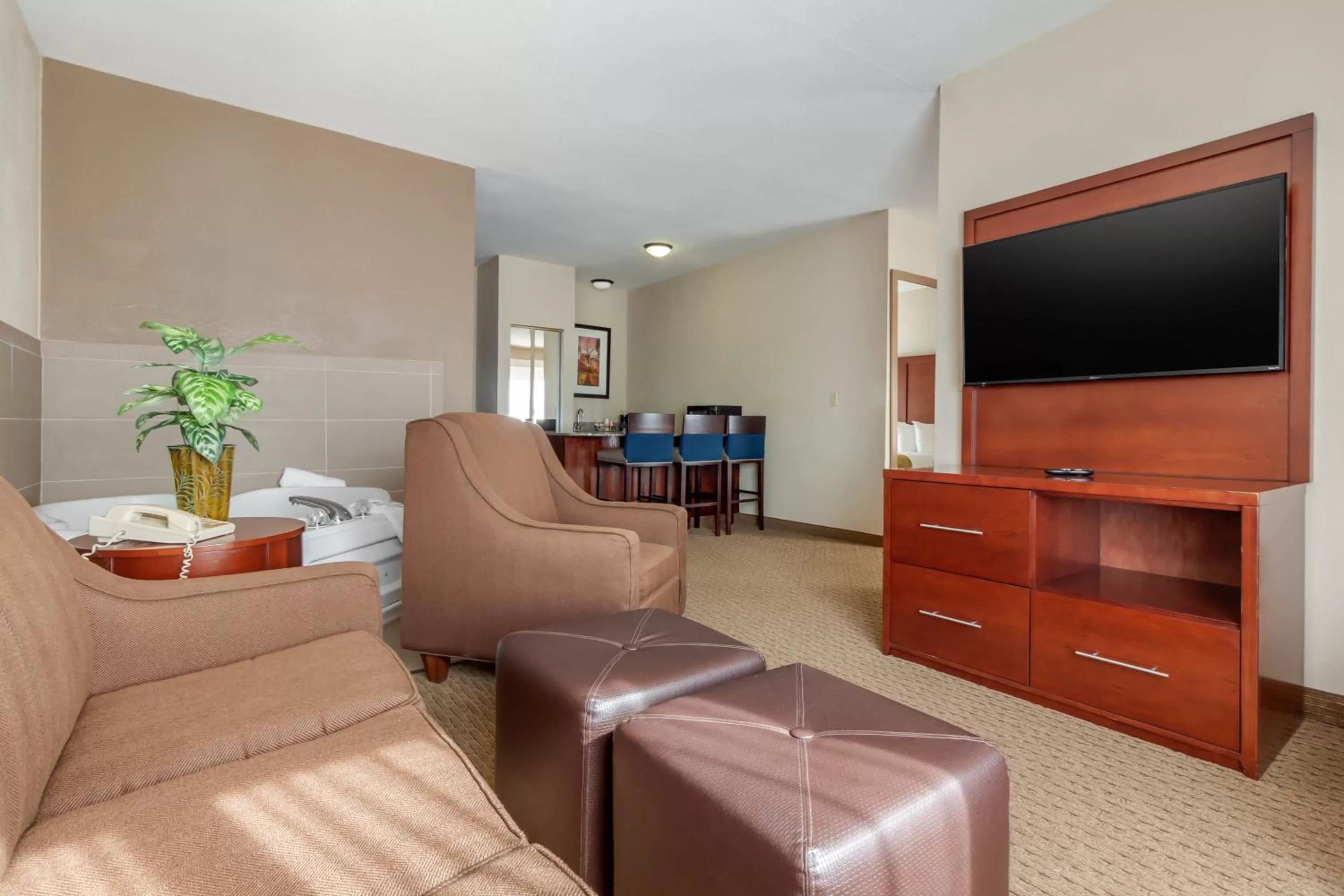 TV and multimedia in Comfort Suites Omaha East-Council Bluffs