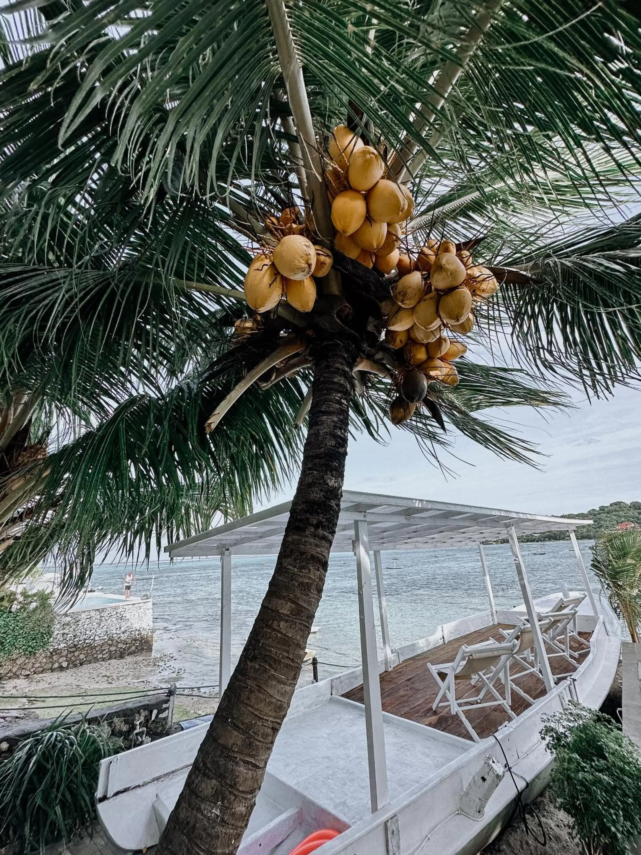 Day in Aurora Beach View