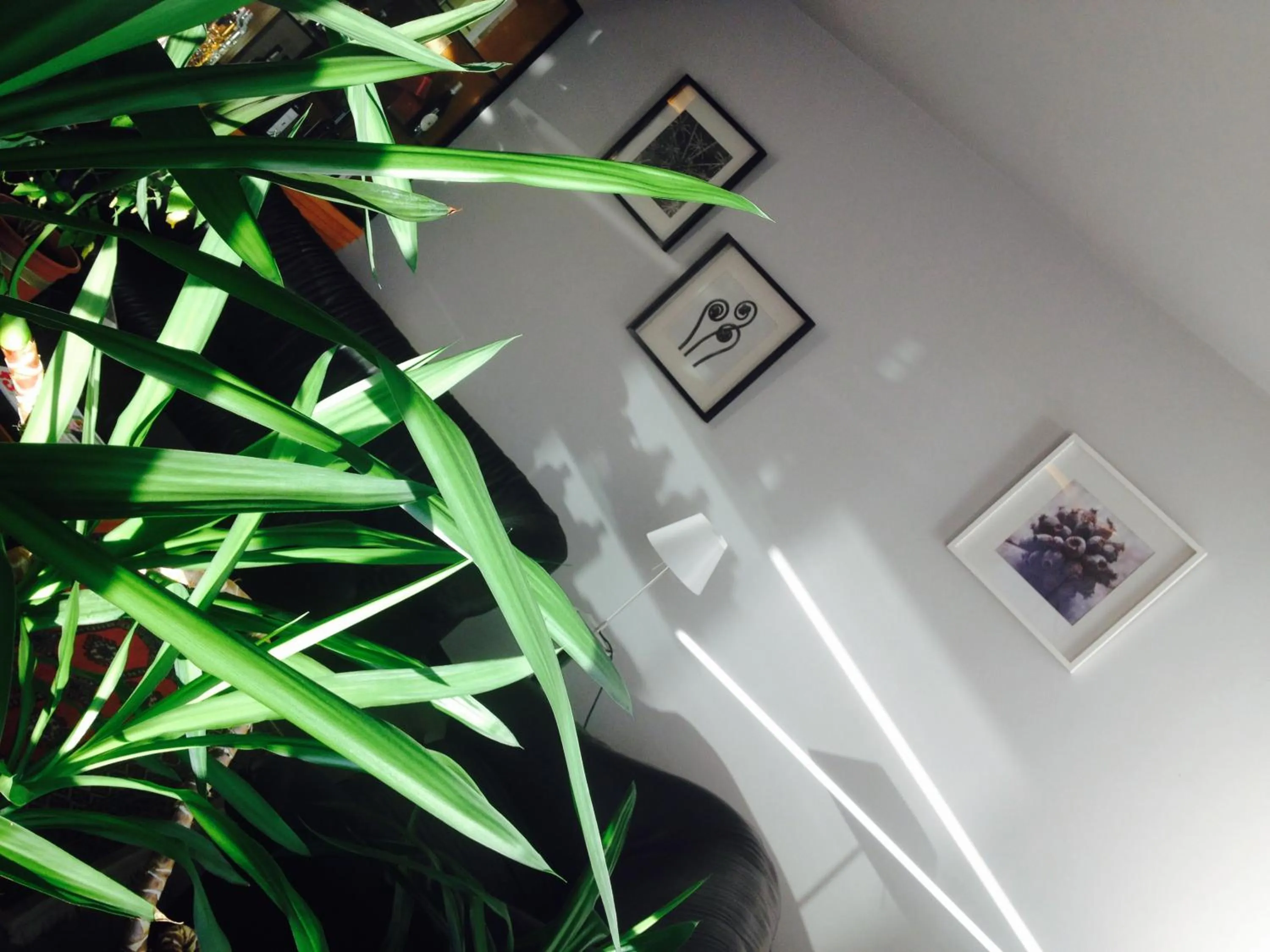 Lobby or reception in Hotel Romanisio