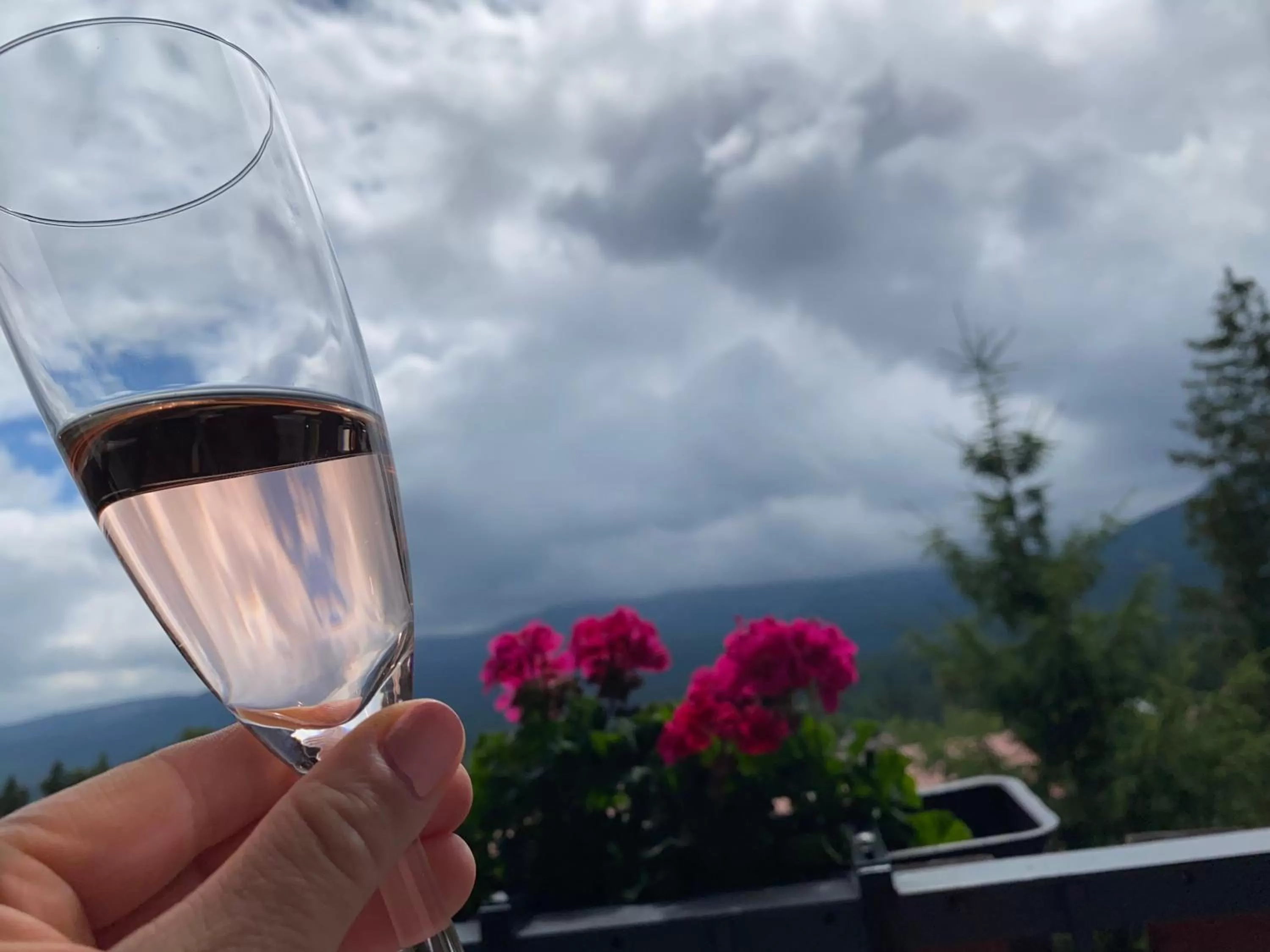 View (from property/room) in Willa Sonata - Apartamenty & Balia - Szklarska Poręba