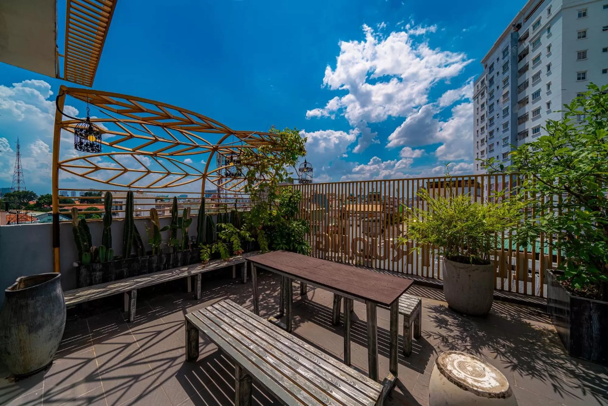 Day in Cactusland Boutique Hotel