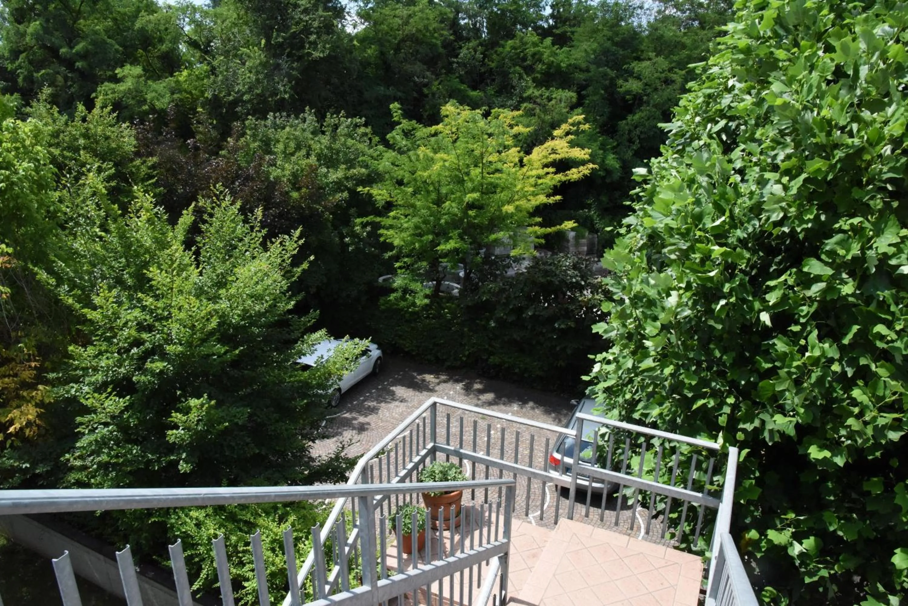 Area and facilities in Hotel Livio