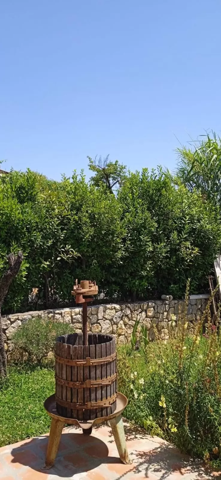 Garden in In Vino Veritas