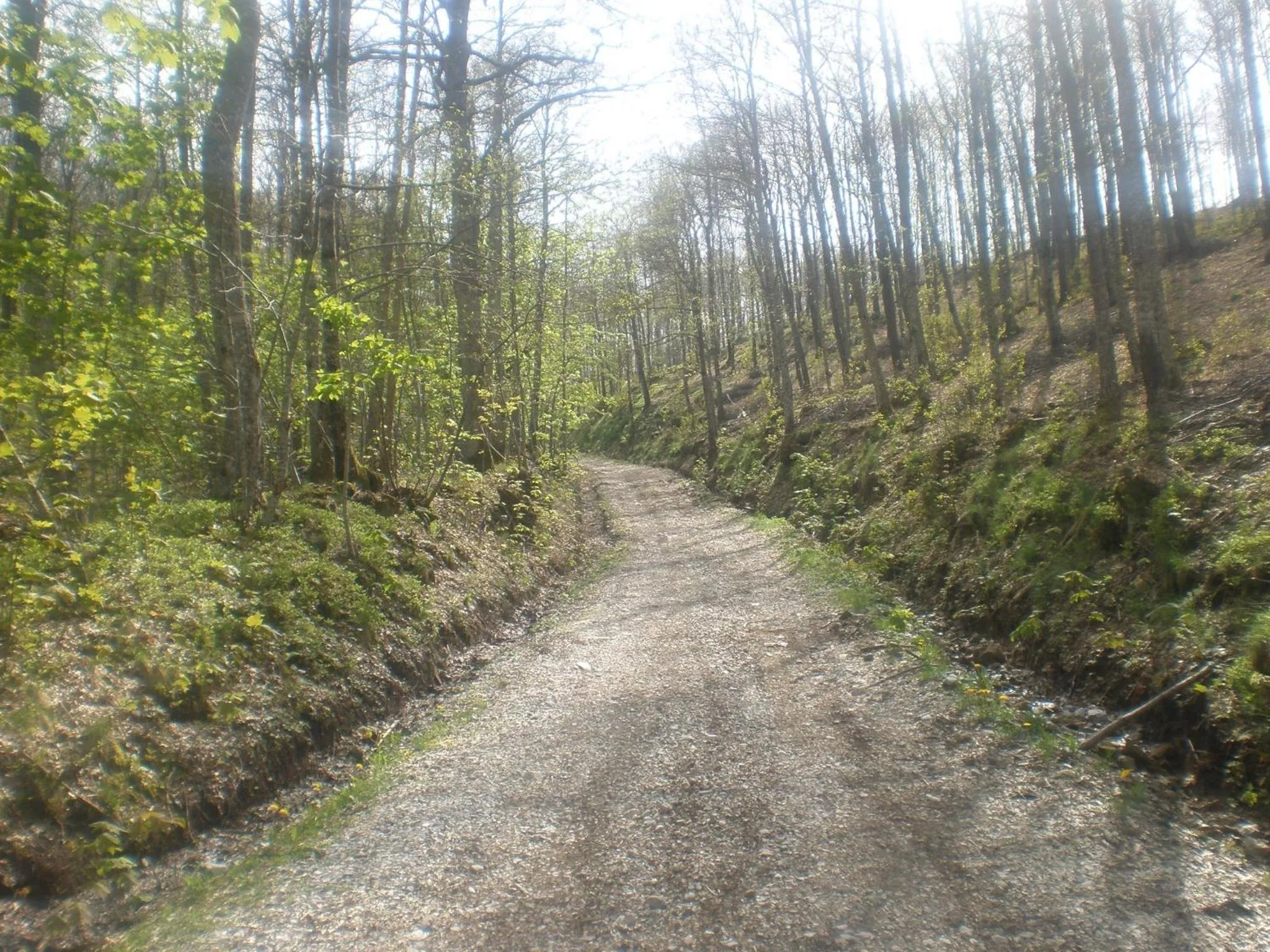Facade/entrance in Amelia Hotel