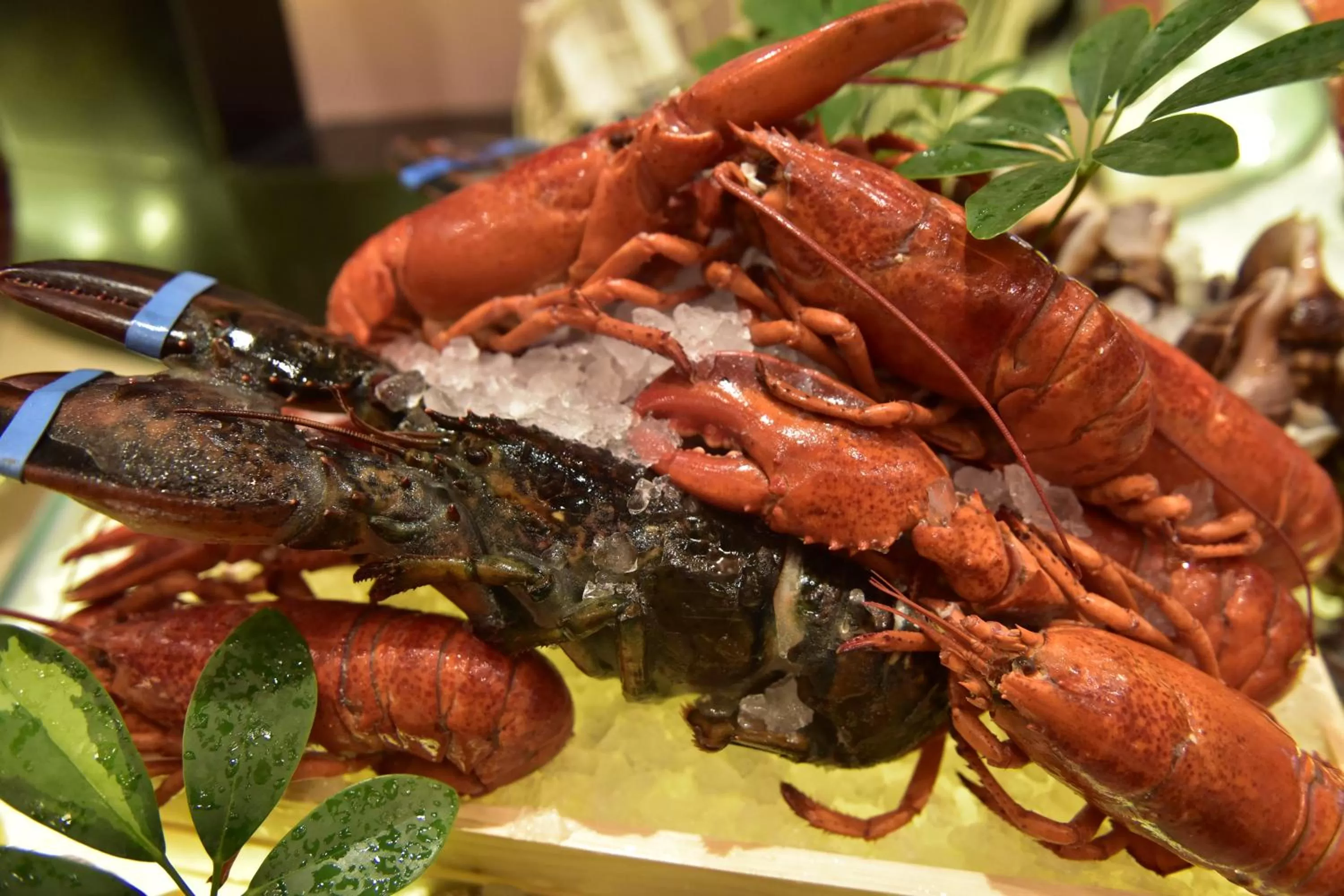 Meals in Crowne Plaza Shenzhen Futian