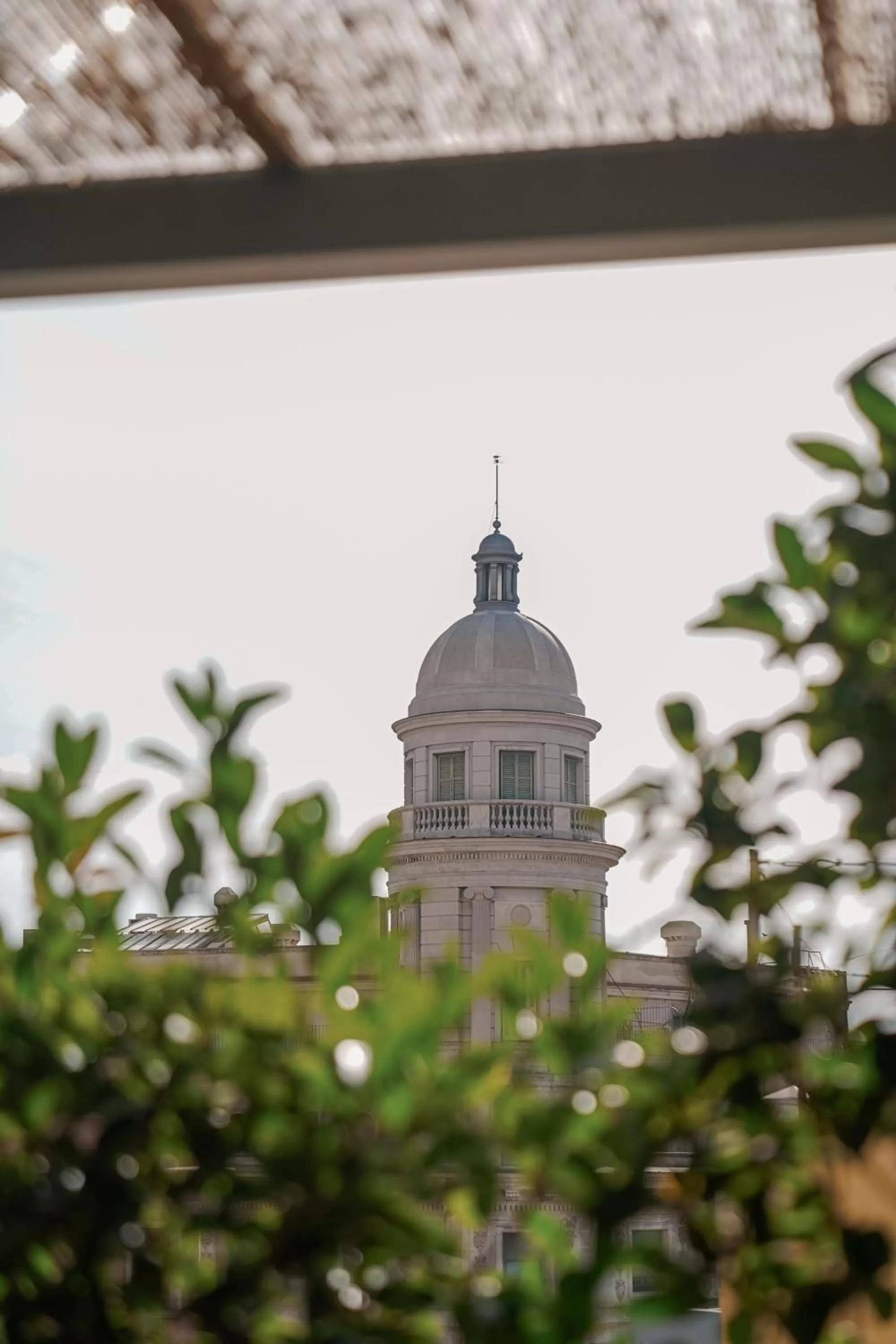 Balcony/Terrace in Hotel Pulitzer Barcelona