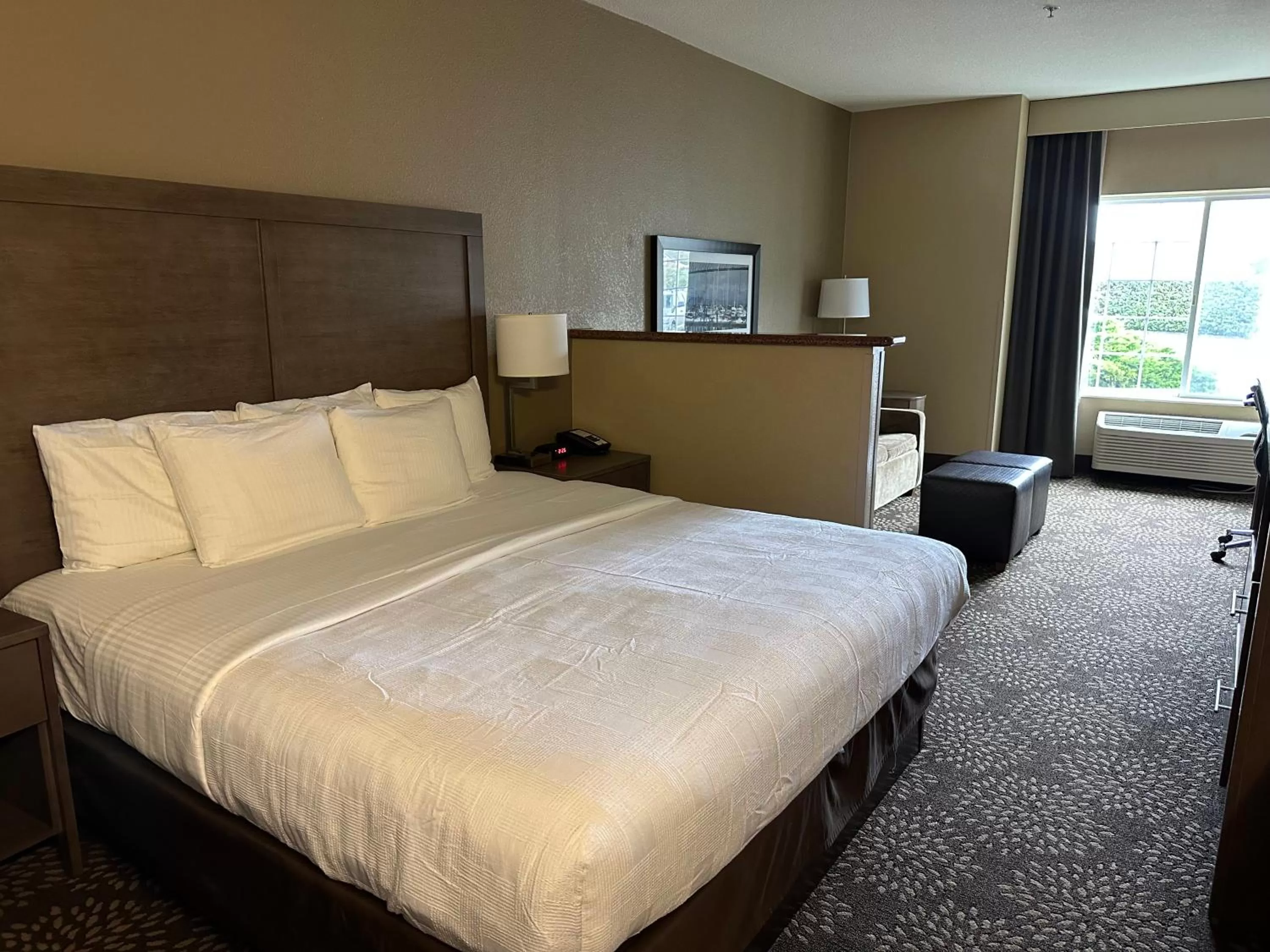King Room with Sofa Bed and Bath Tub - Disability Access/Non-Smoking in Best Western Columbia River Waterfront Hotel Astoria