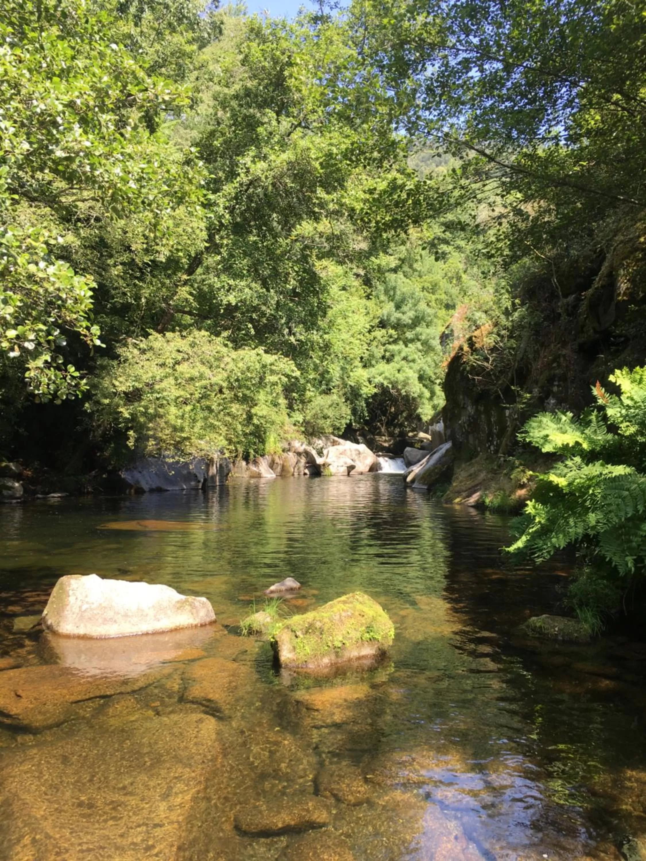 River view in A Padaria Farmhouse