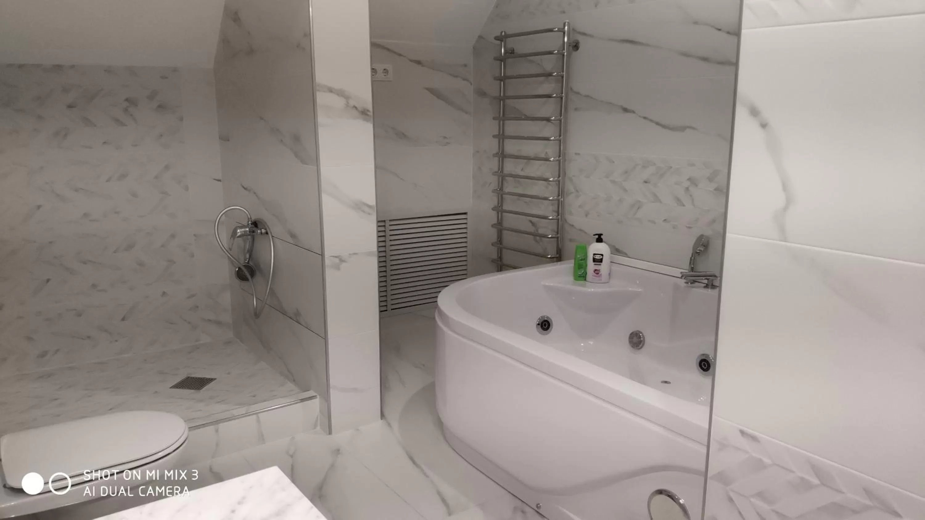 Bathroom in White House