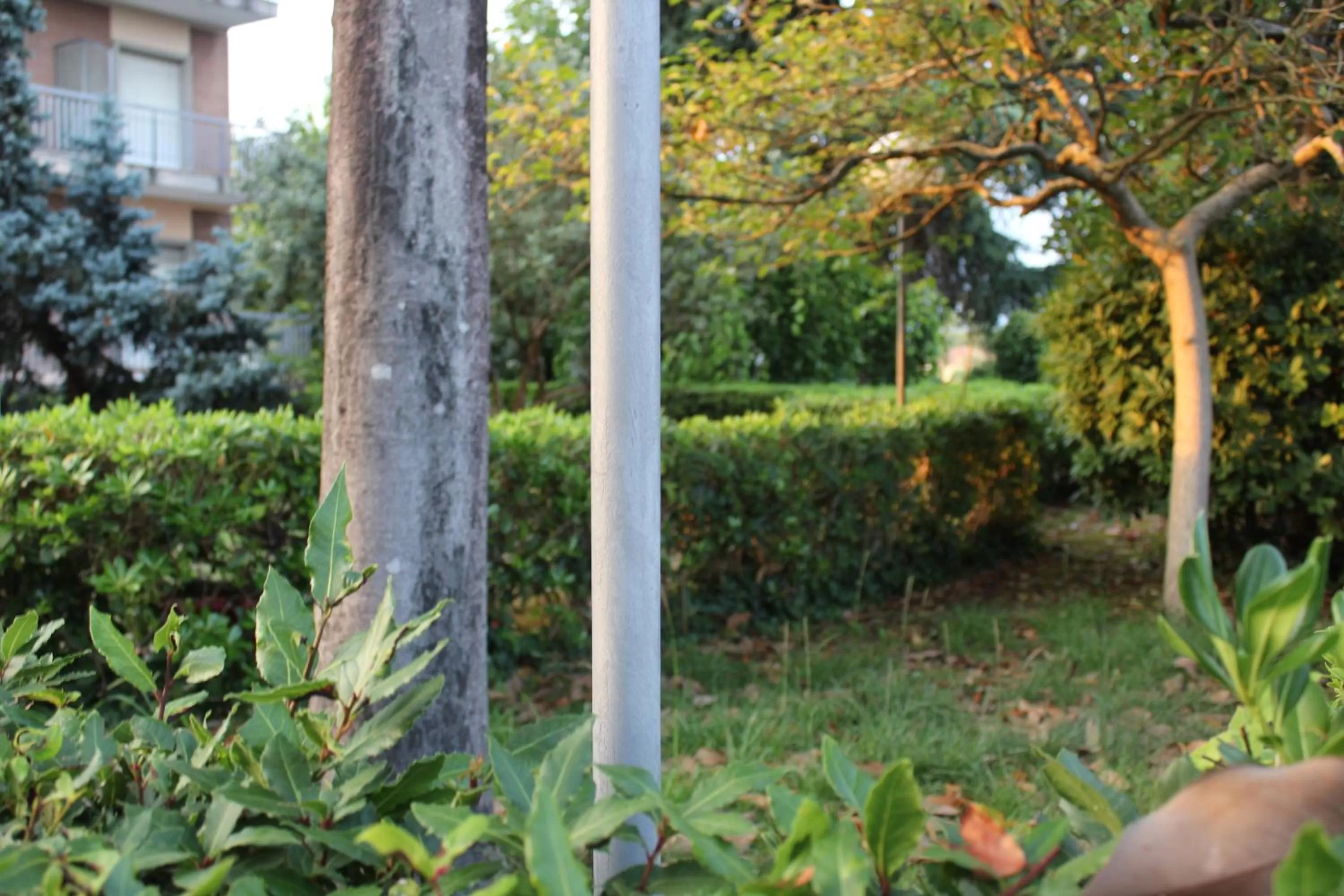 Floor plan in Hotel Diana