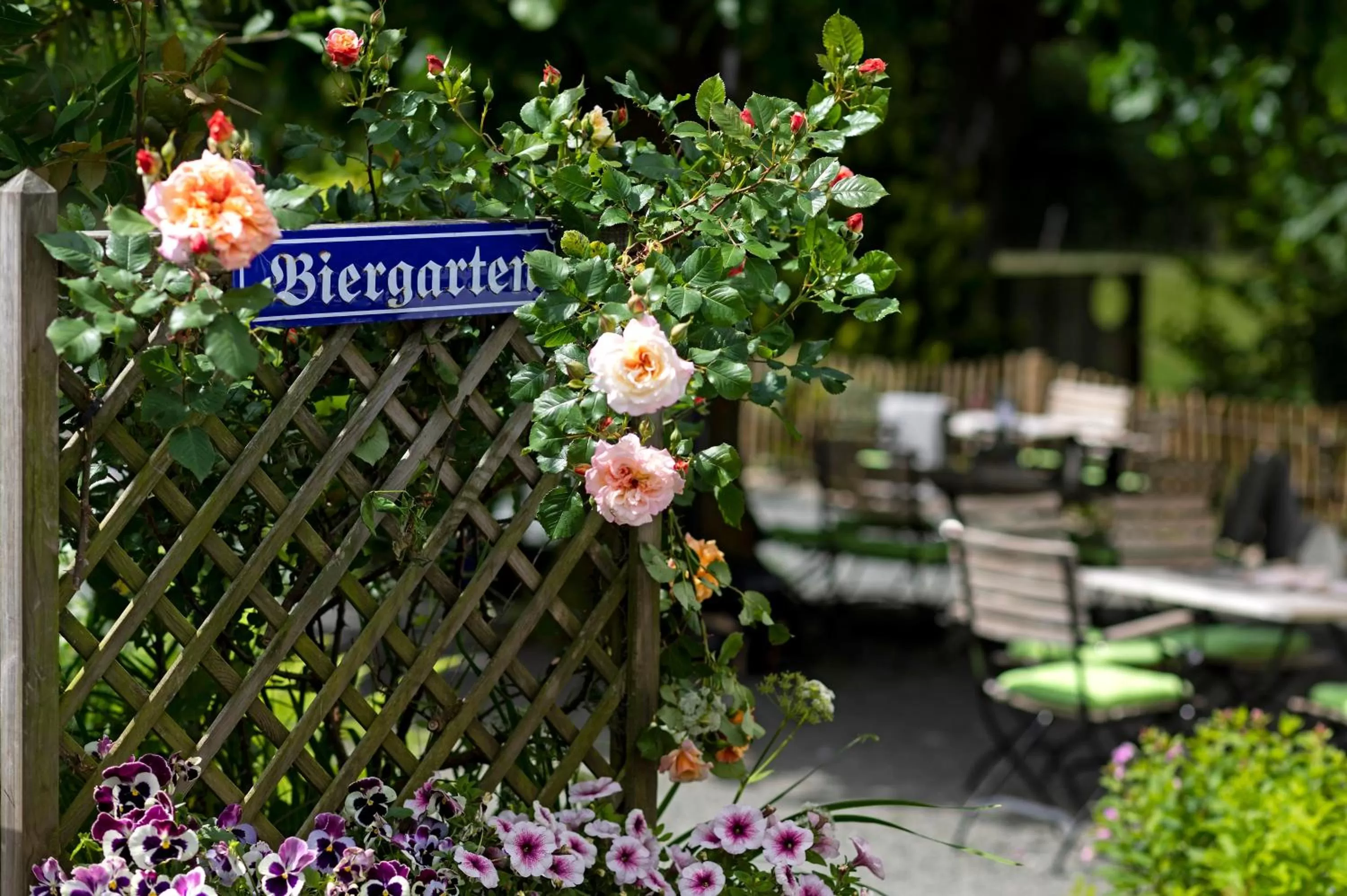 Garden in Die Sperre