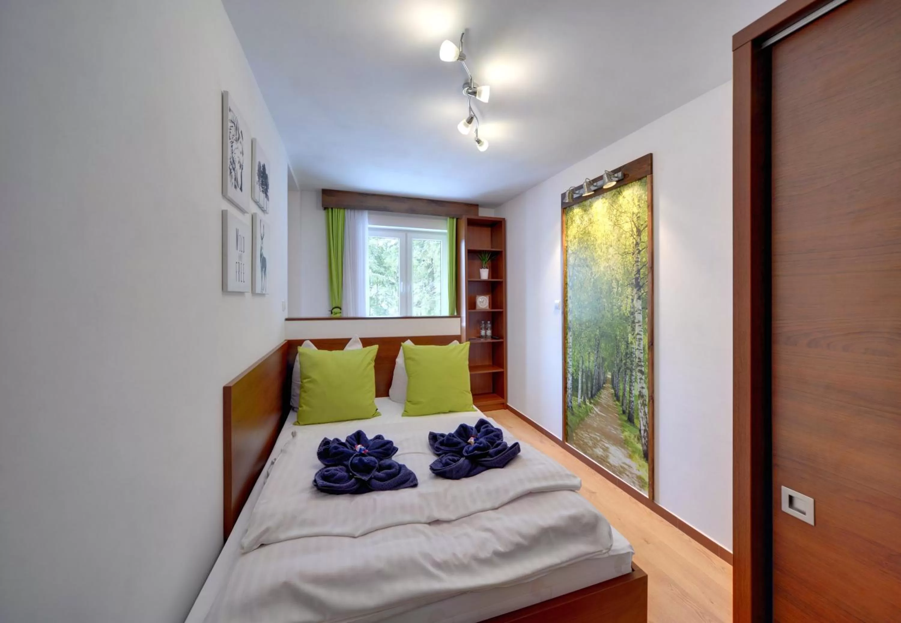 Bed in Safir przy samym WYCIĄGU