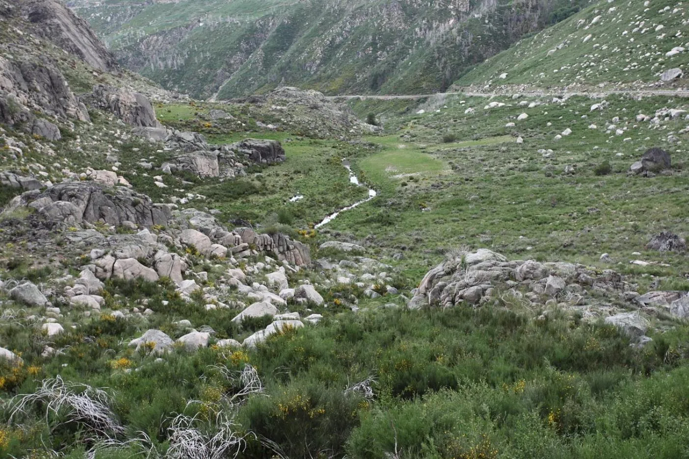 Natural landscape in INATEL Manteigas