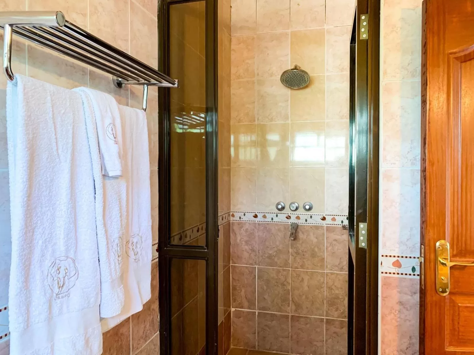 Shower in Oilepo Cottage