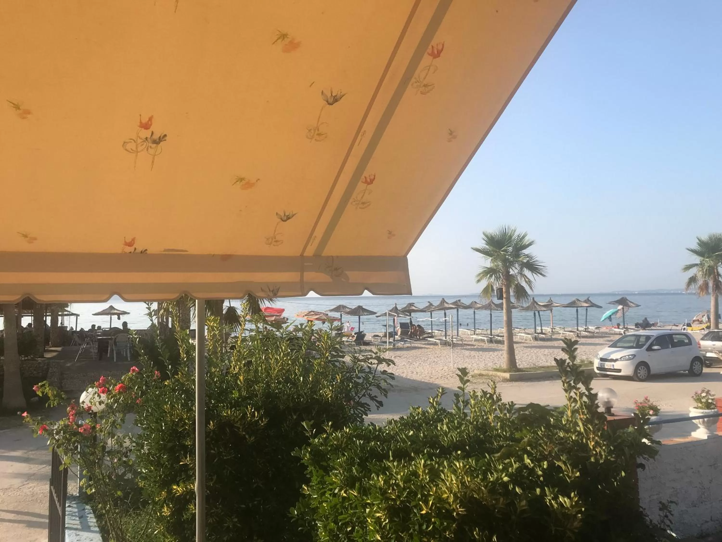 Sea view in Hotel Alba-Gert