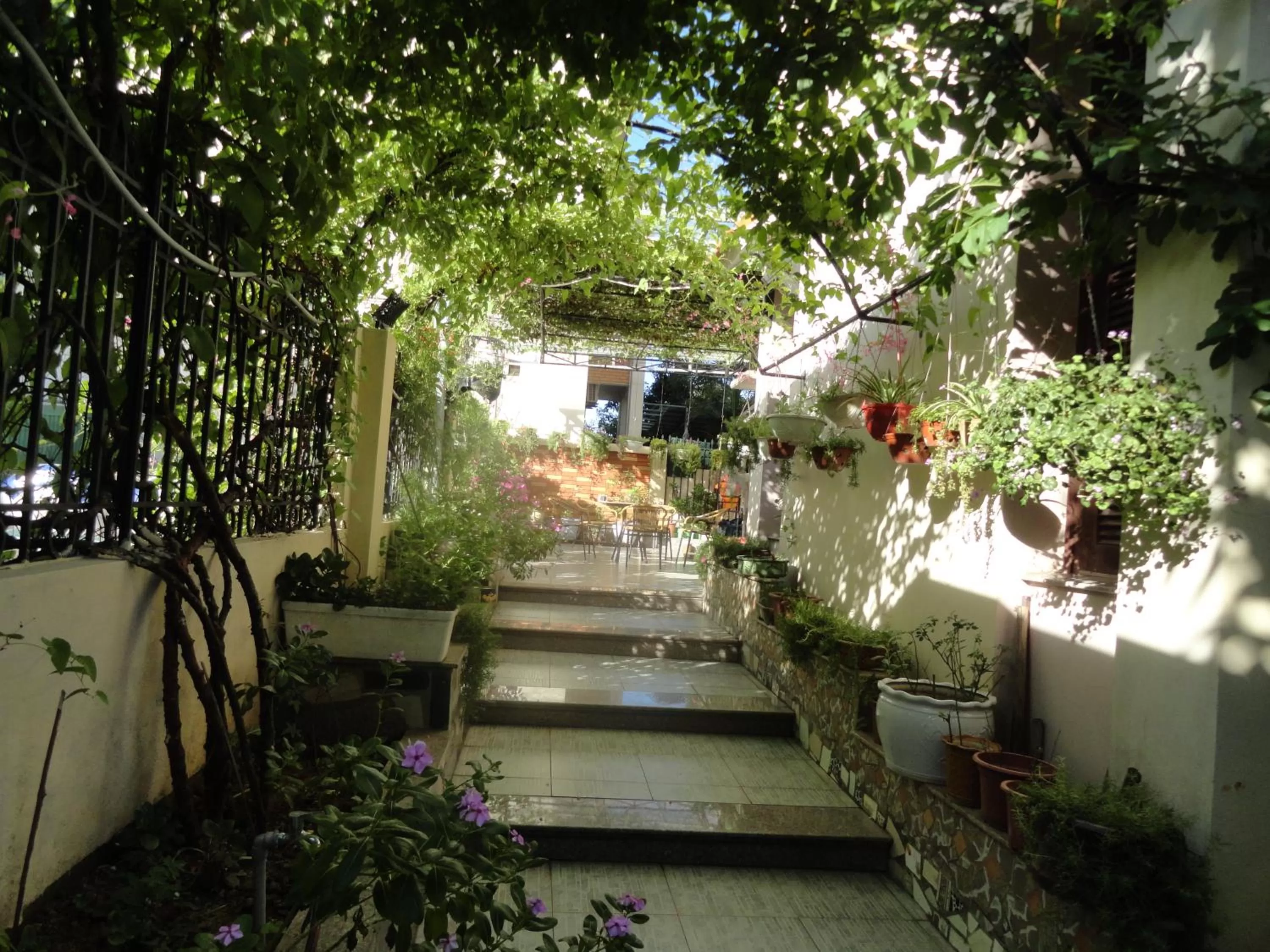 Garden in Hạ Long Lily Homestay