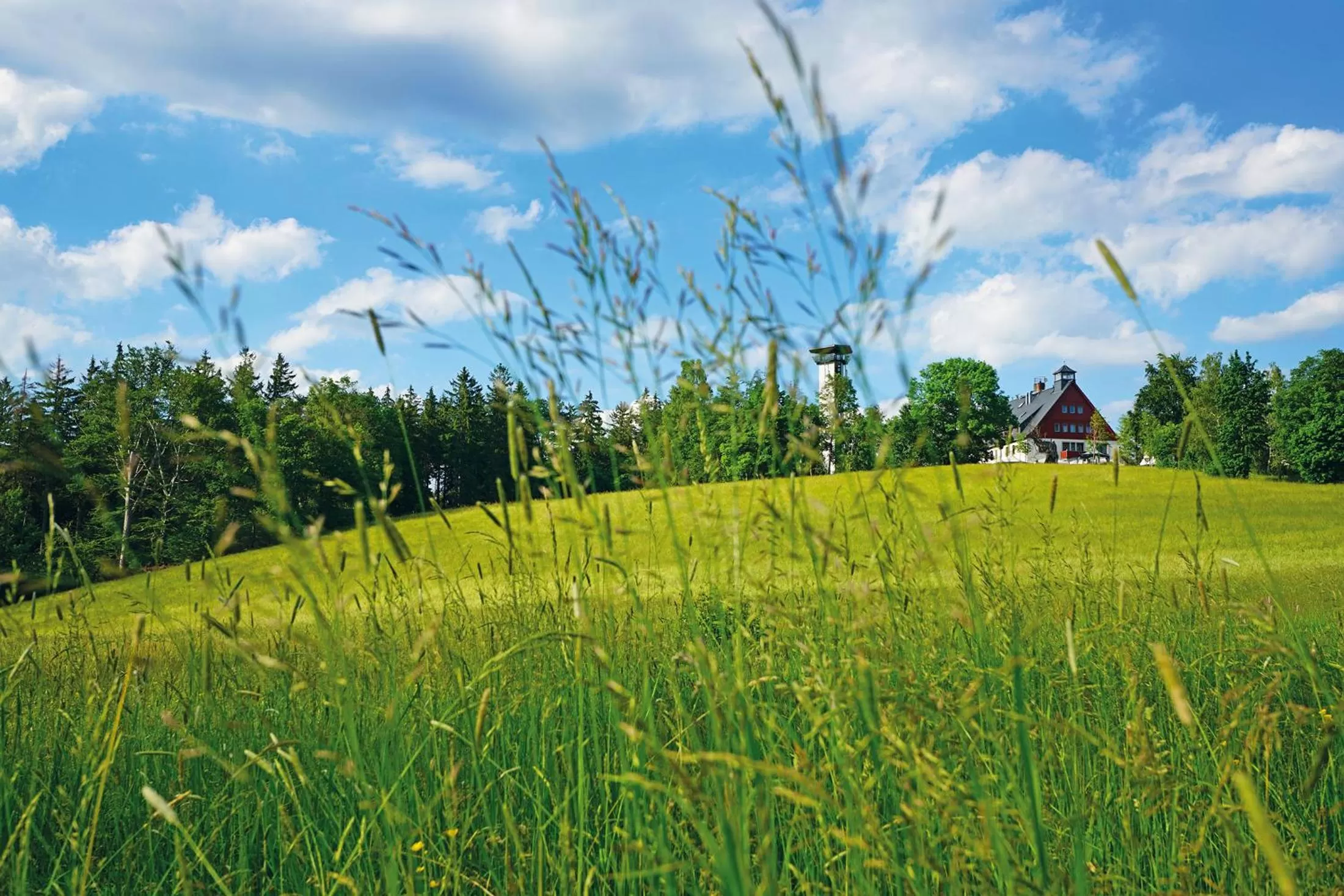 Natural landscape in Hotel und Restaurant Bühlhaus