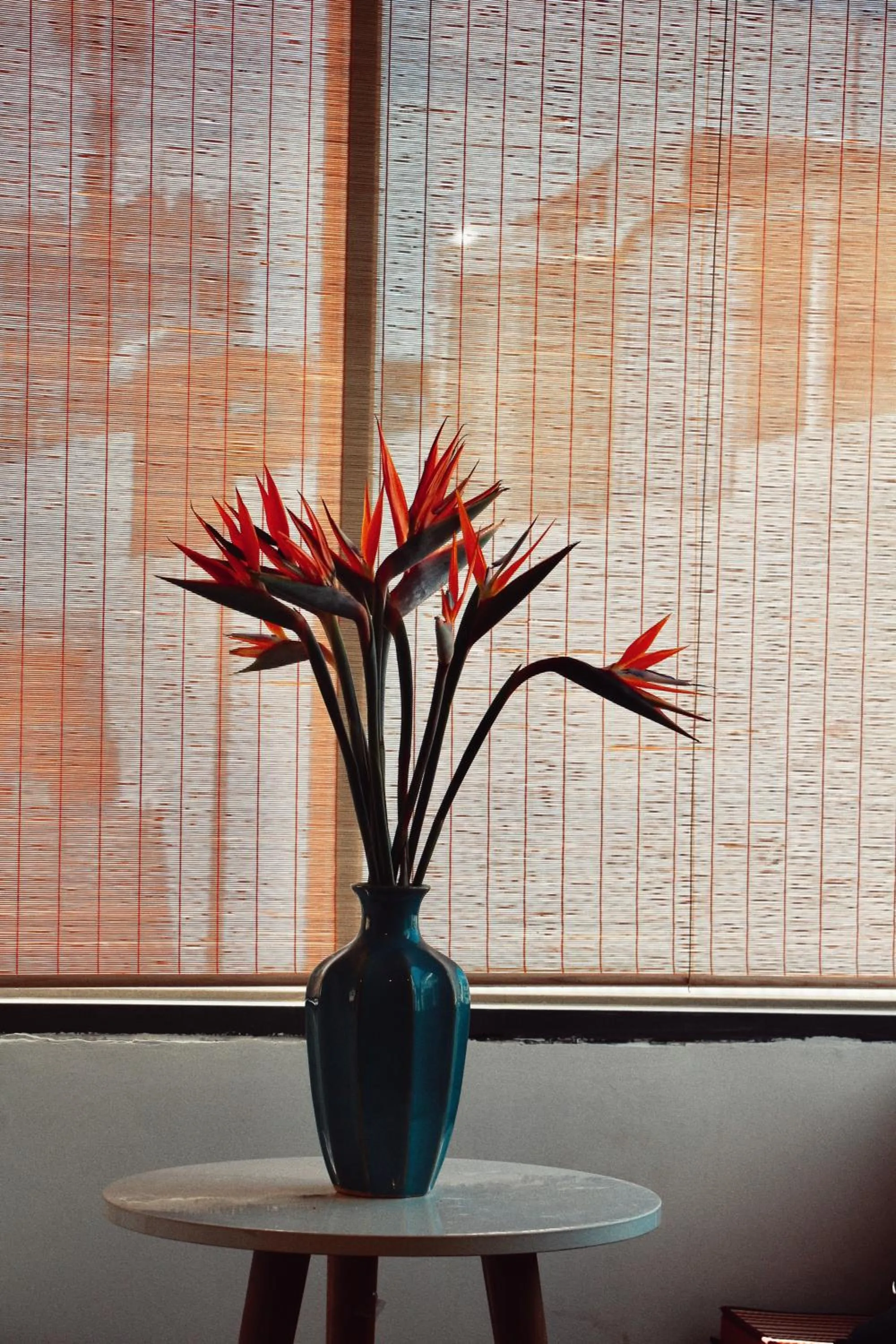 Natural landscape in Coucou Homestead I - Homestay & Dorm District 1