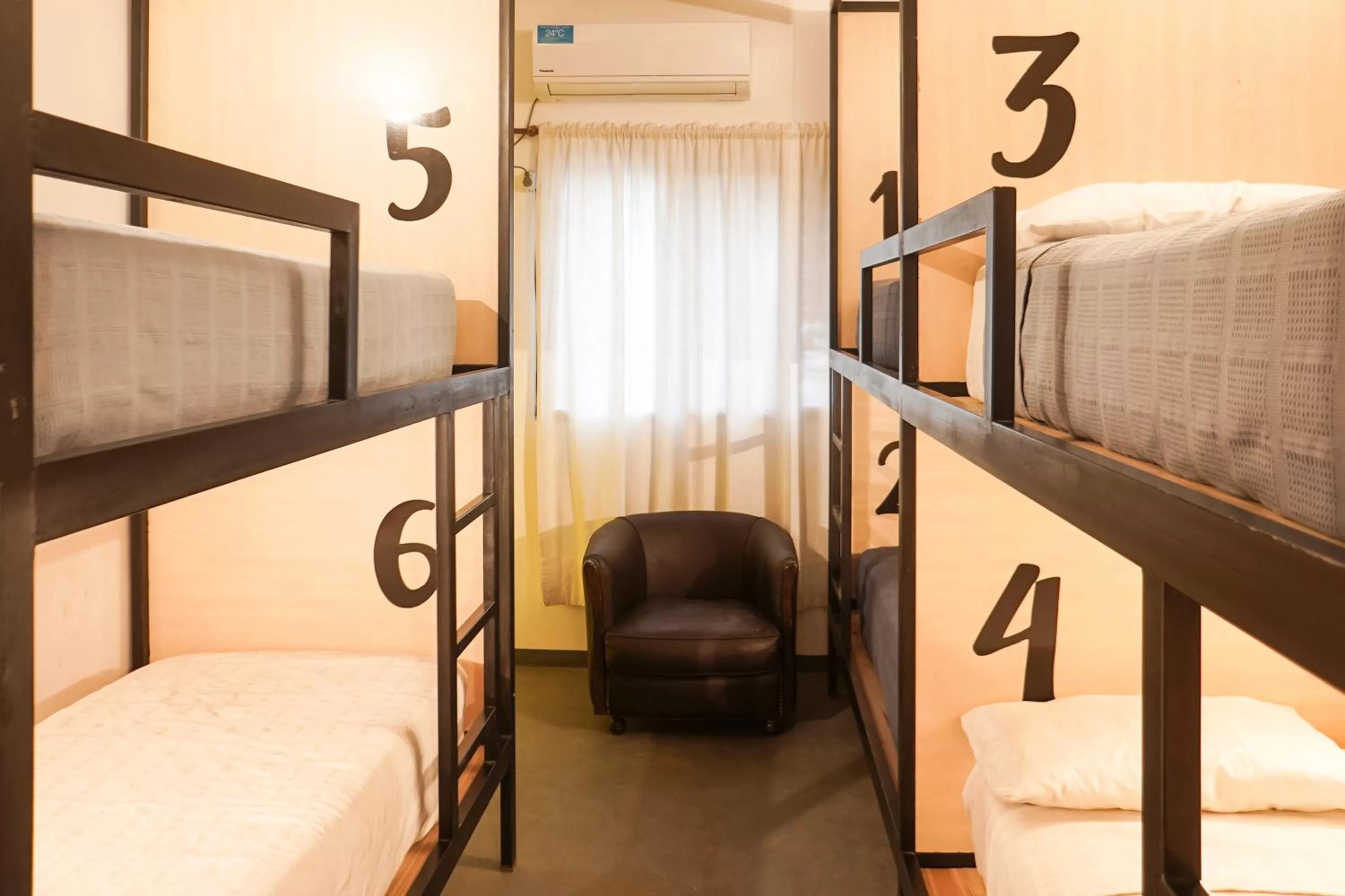 Bunk Bed in Hostel Cha