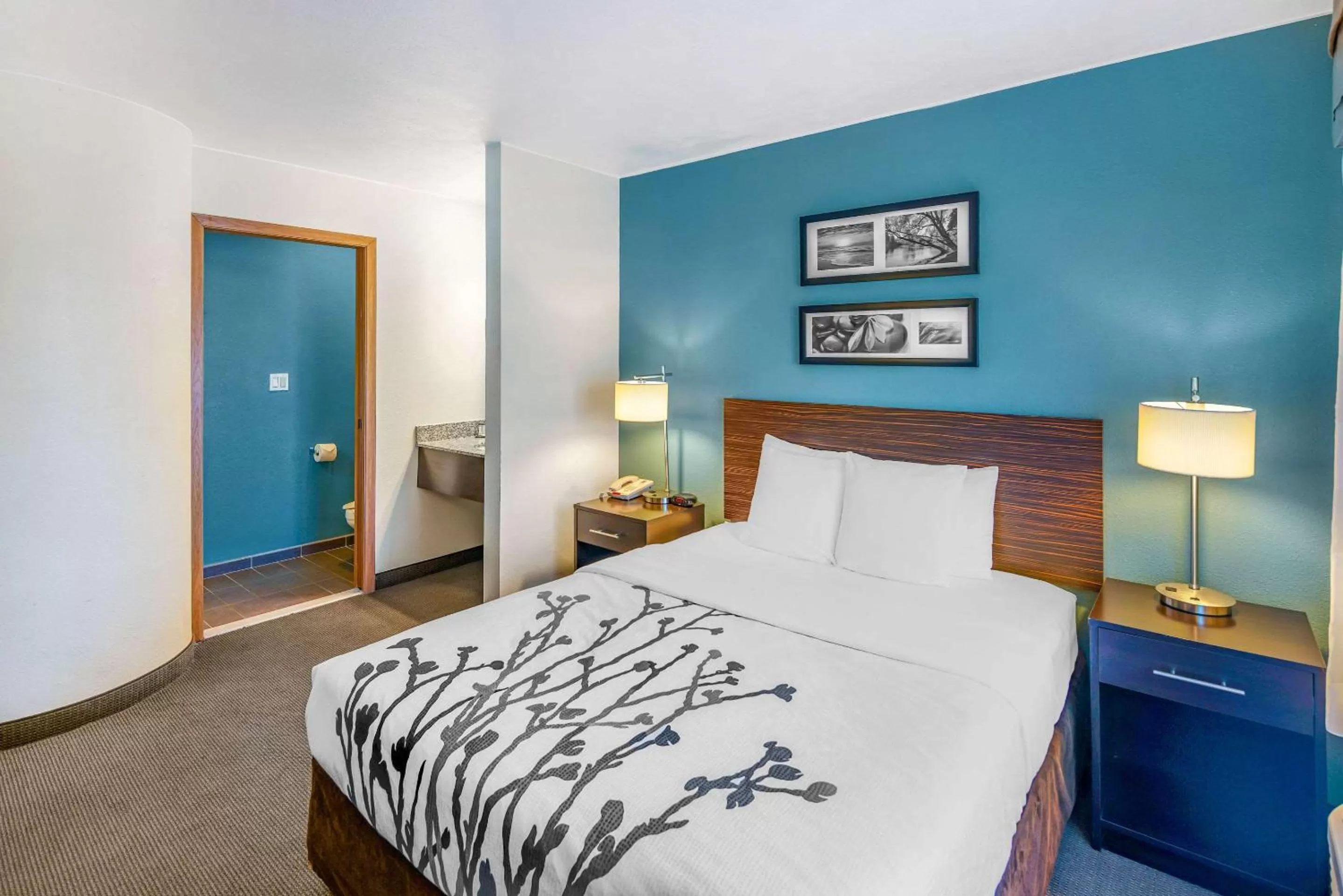 Photo of the whole room, Bed in Sleep Inn near Washington State Line