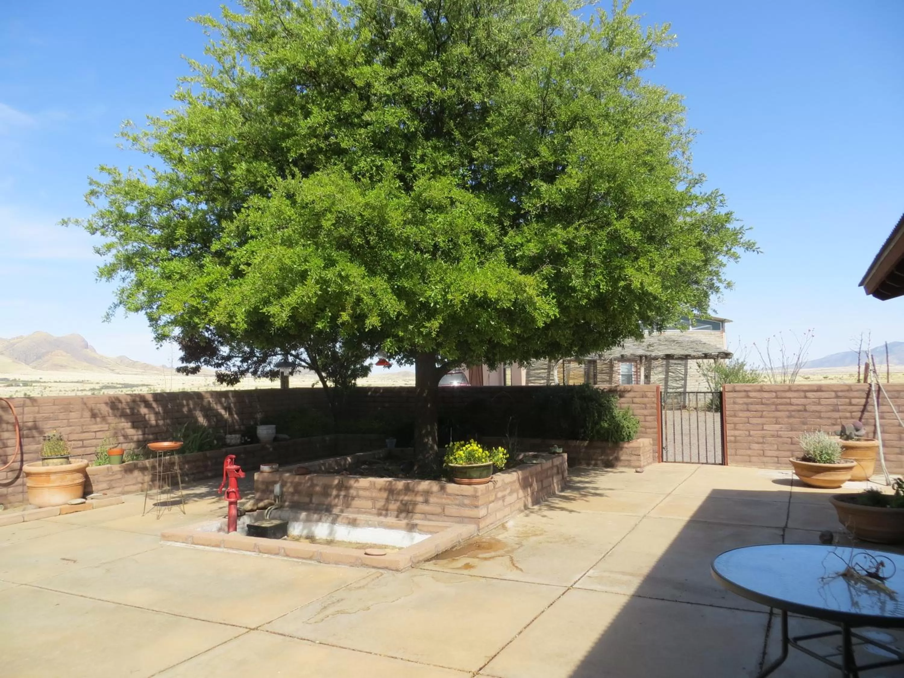 Rancho Milagro Bed & Breakfast