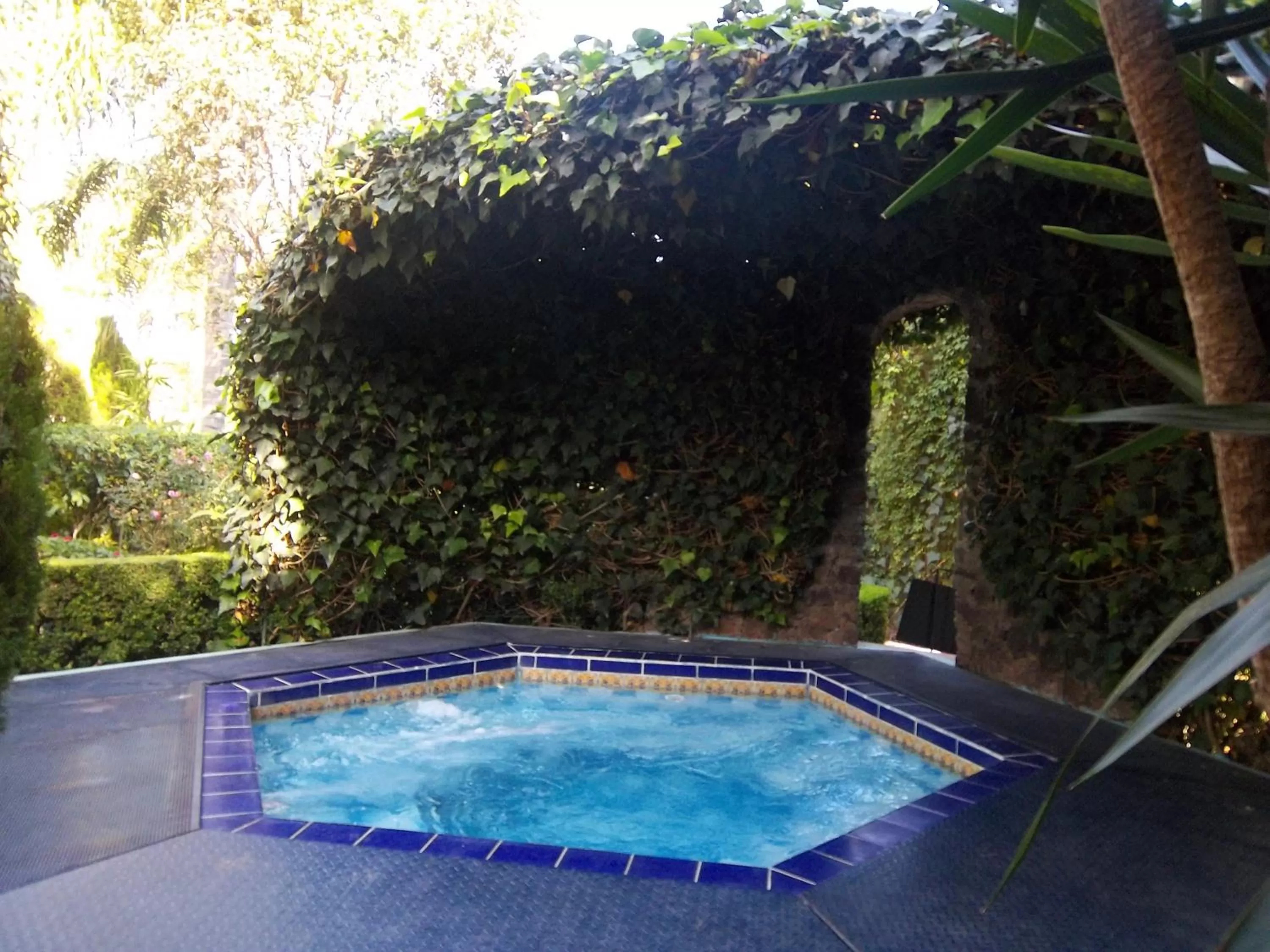 Pool view in Posada Los Alcatraces
