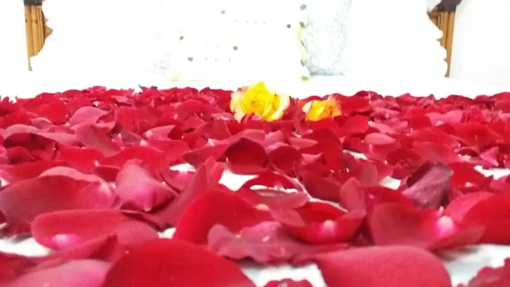 Bed in Hotel Boutique Simona