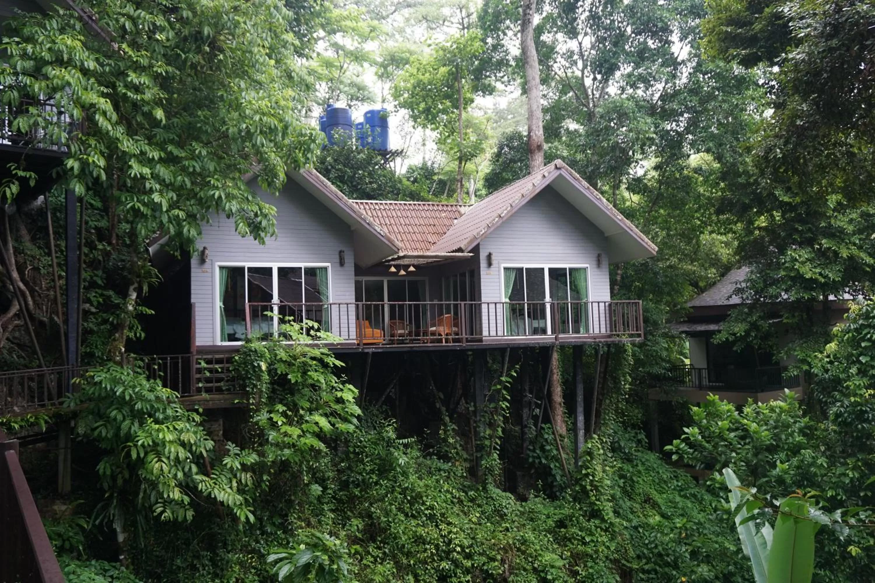 Property Building in Rock and Tree House Resort