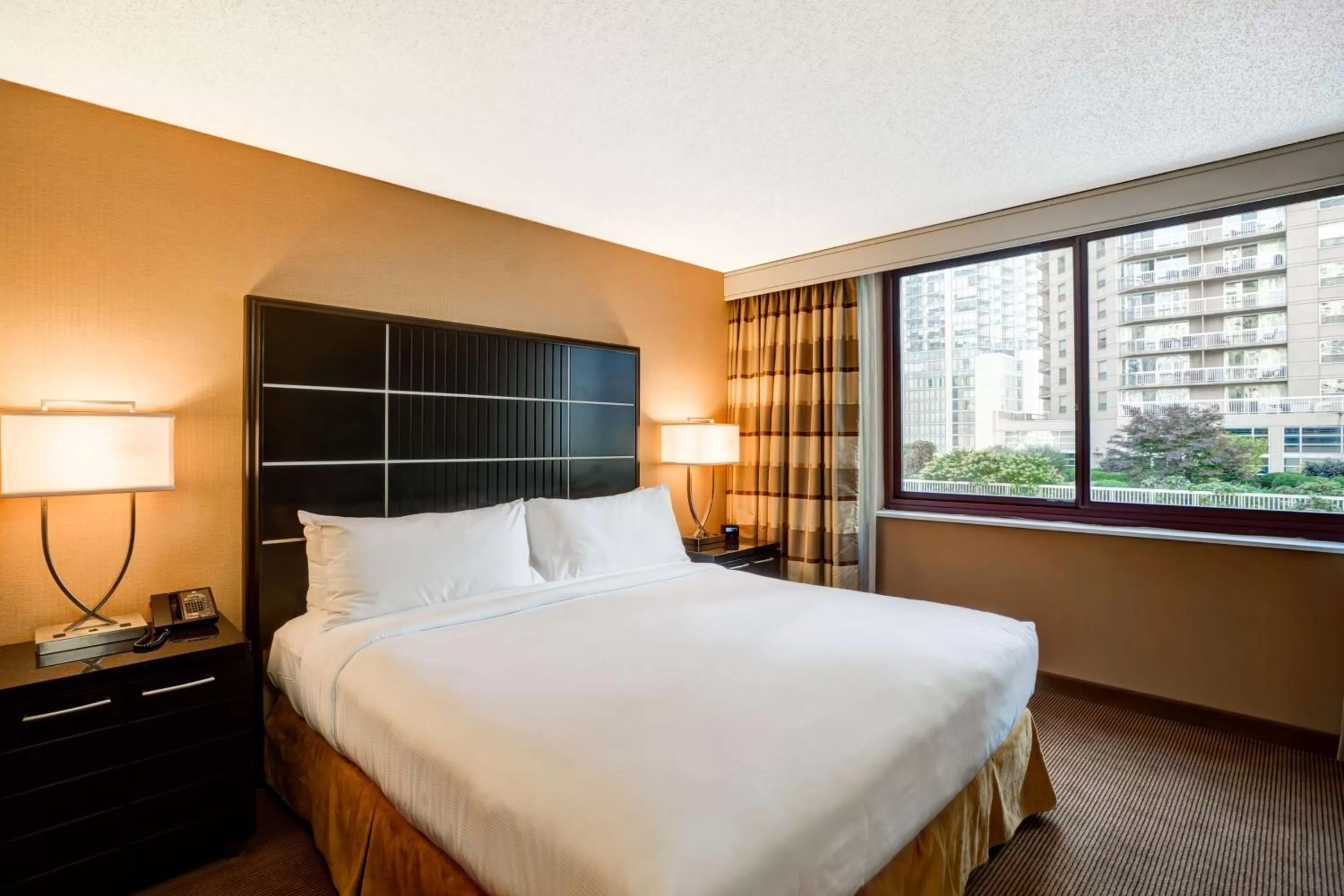 One-Bedroom King Suite with Sofa Bed - City View in Embassy Suites Chicago - Downtown River North