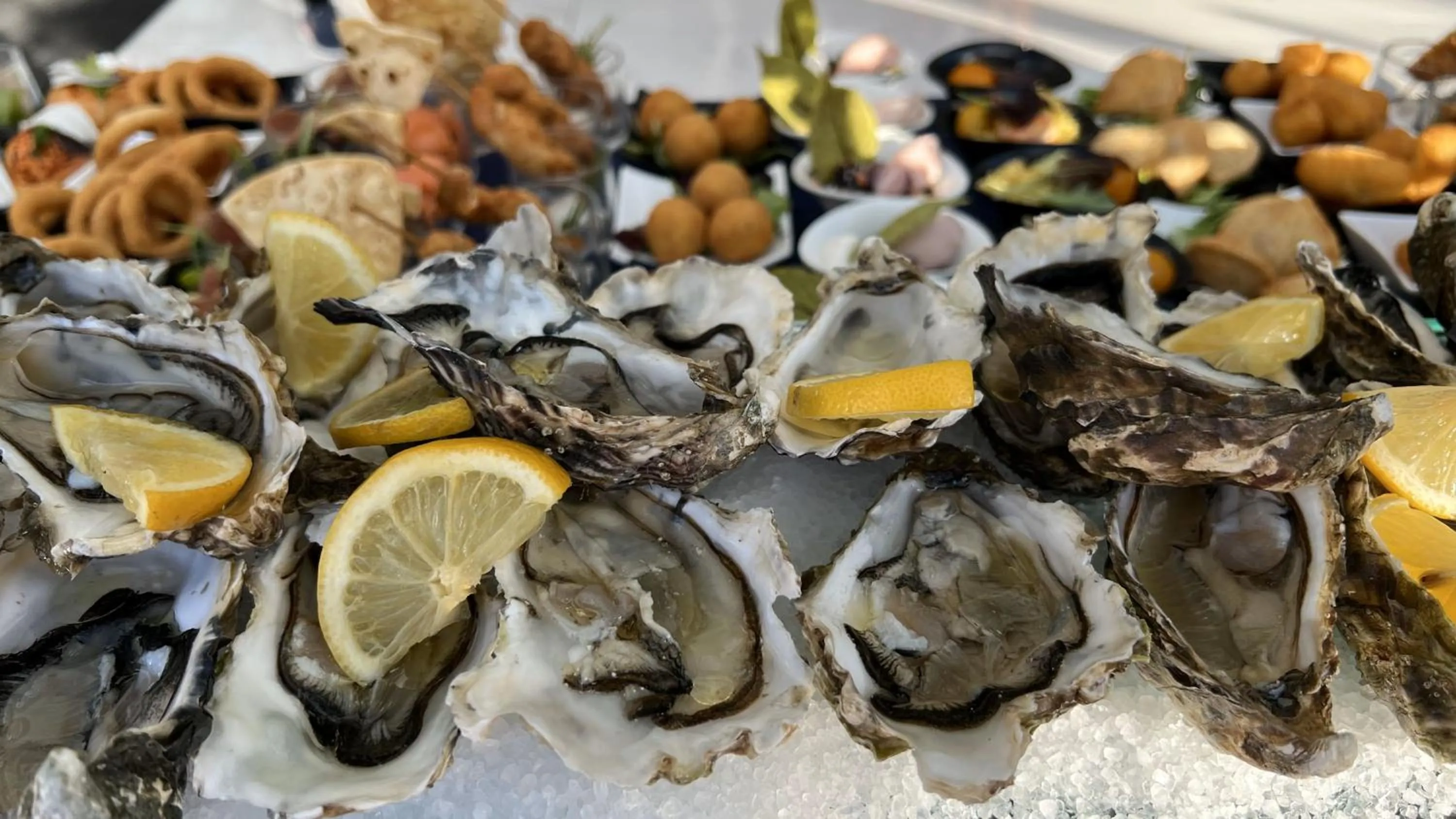 Evening entertainment in Hotel Due Mari & SPA