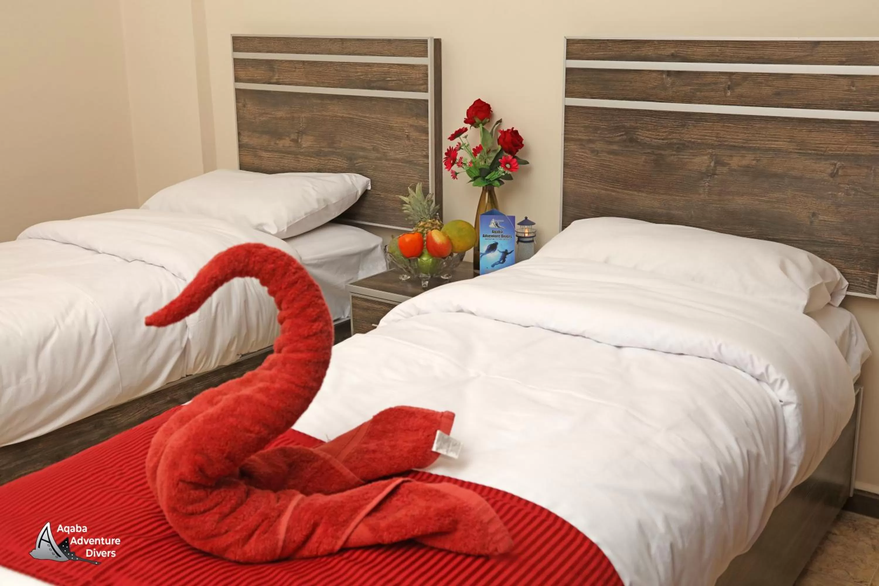 Bed in Aqaba Adventure Divers Resort & Dive Center