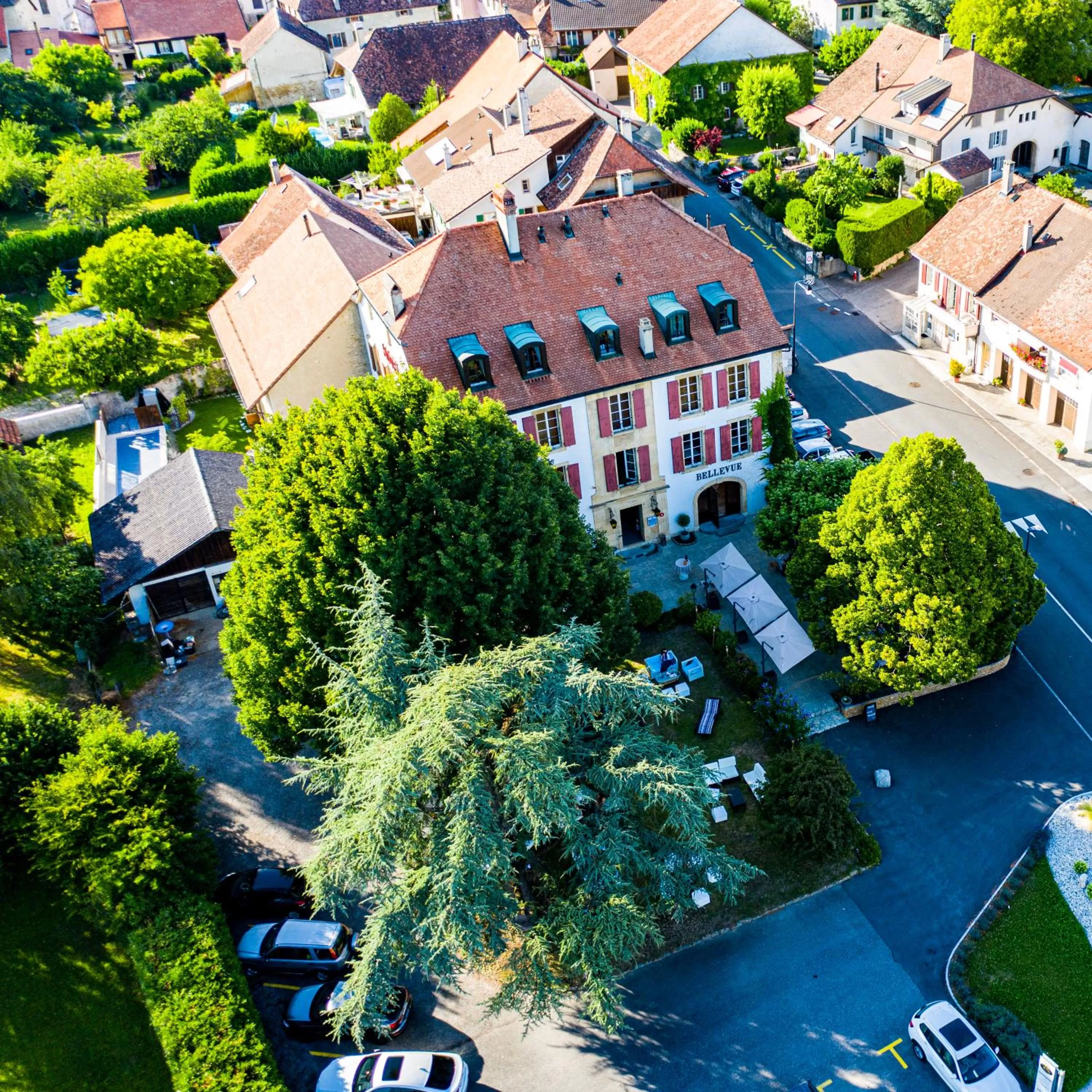 Bird's eye view in Hôtel Restaurant Bellevue
