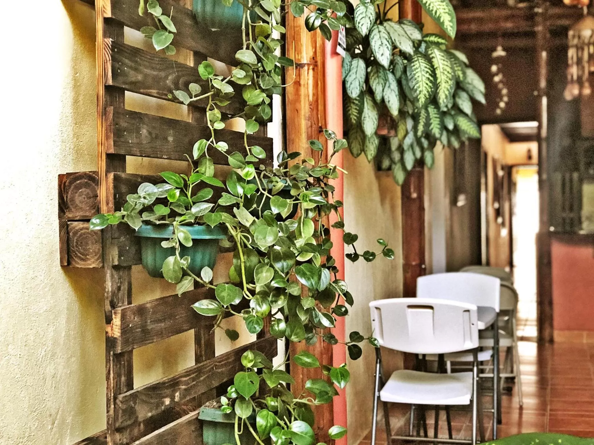 Patio in Hotel Pacande B&B