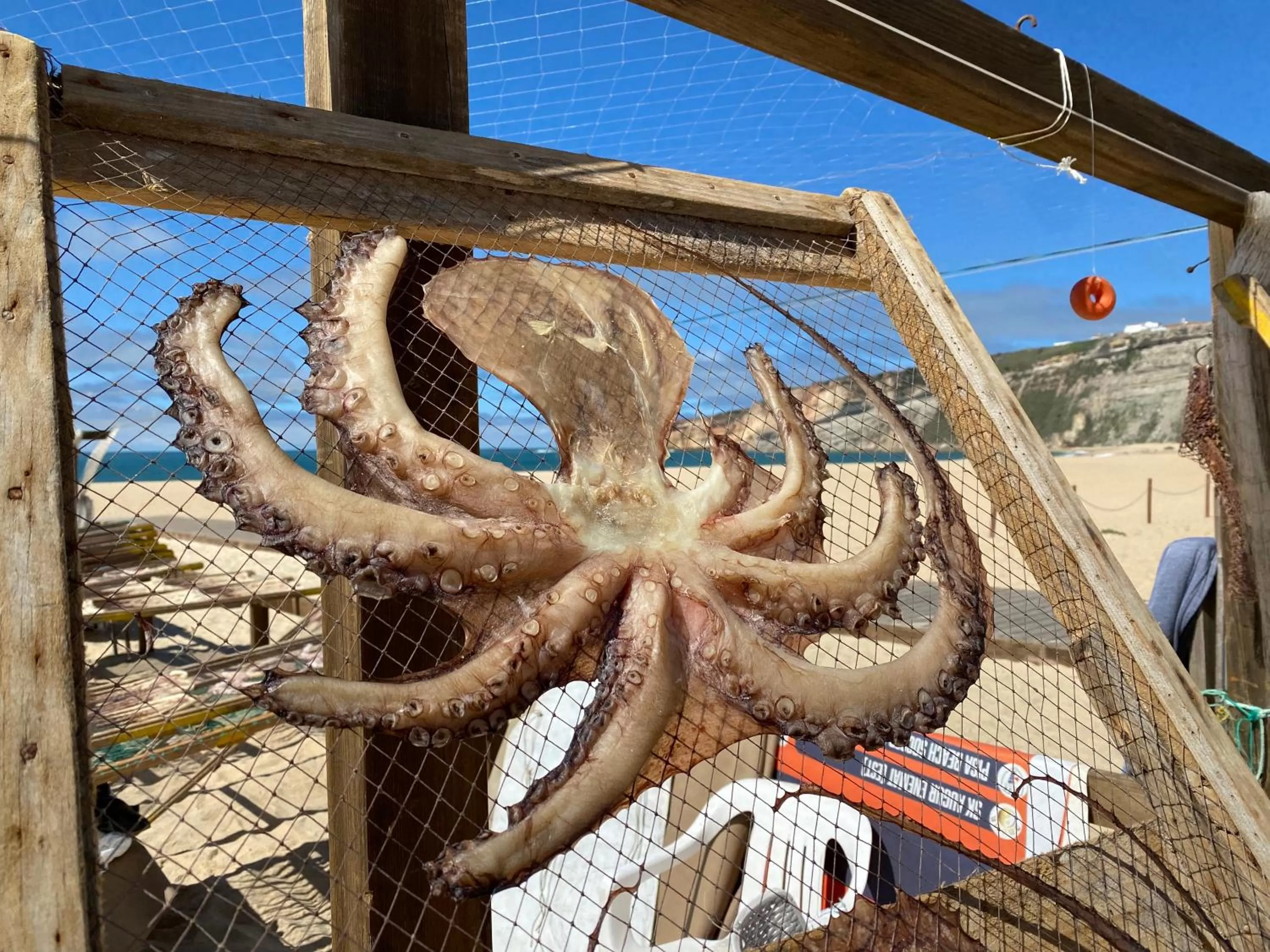 Spray B&B Sitio in Nazare Mini bar, European style